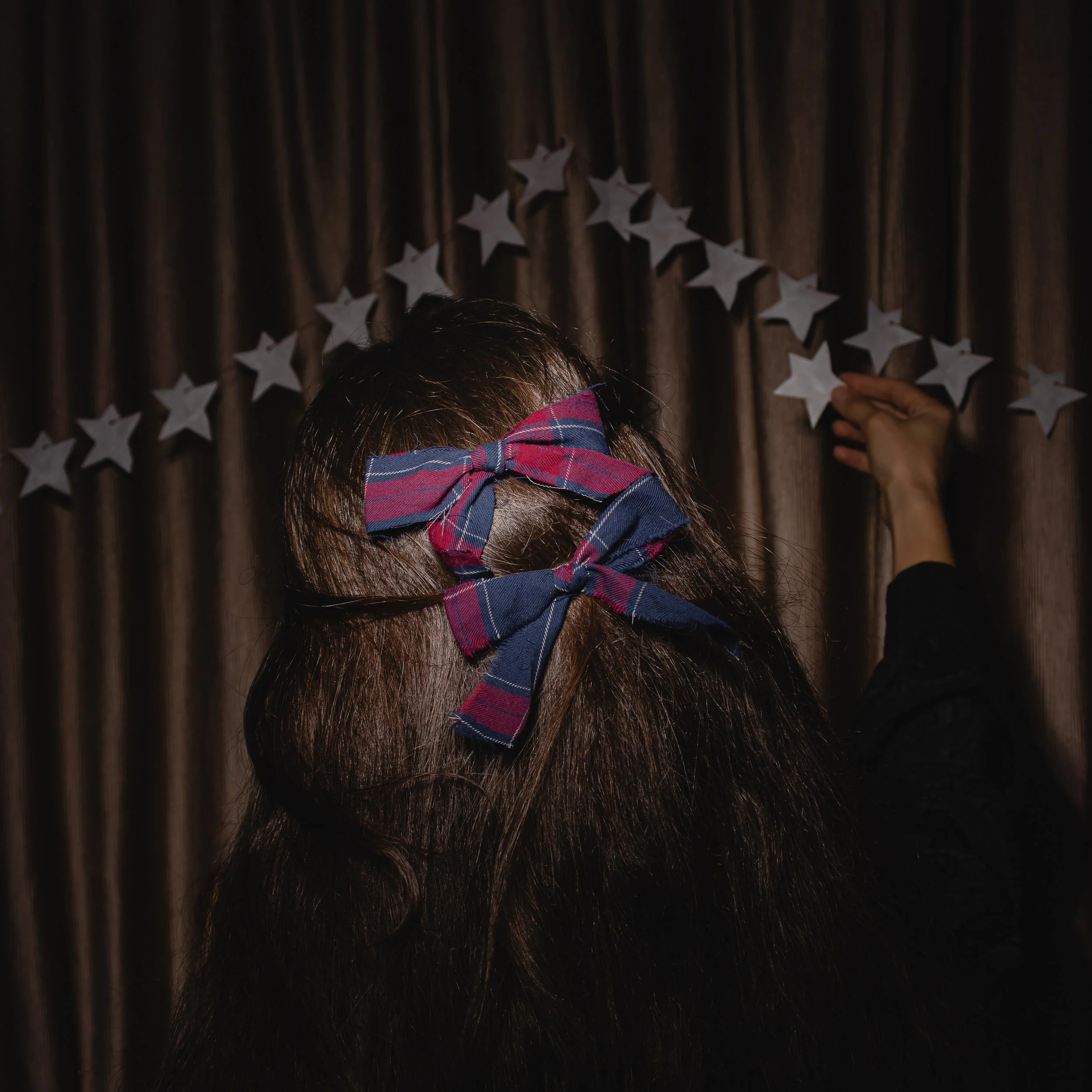 Raw-Edge Checked Bow Clip Set