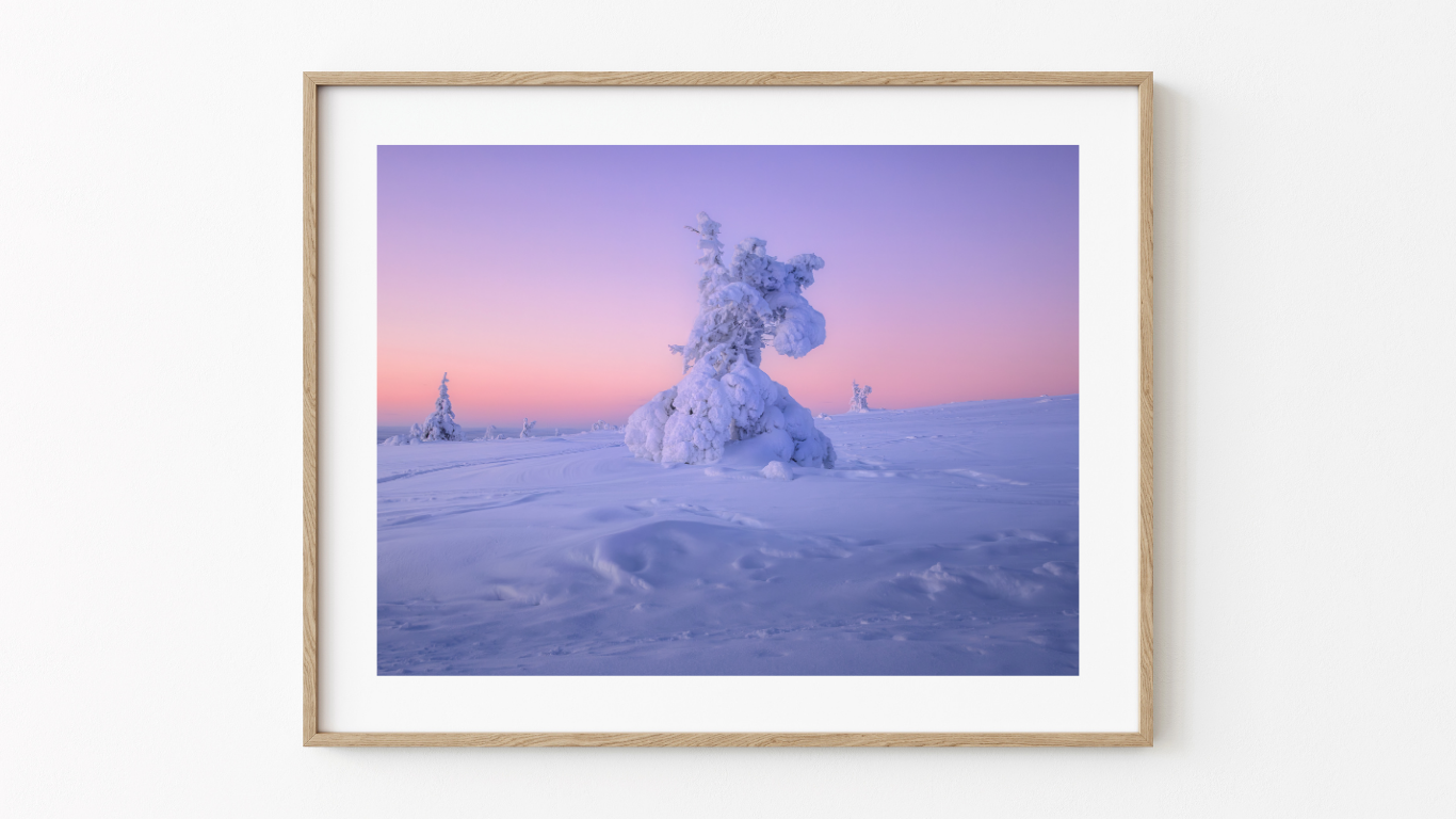 Design sans titre-10.png