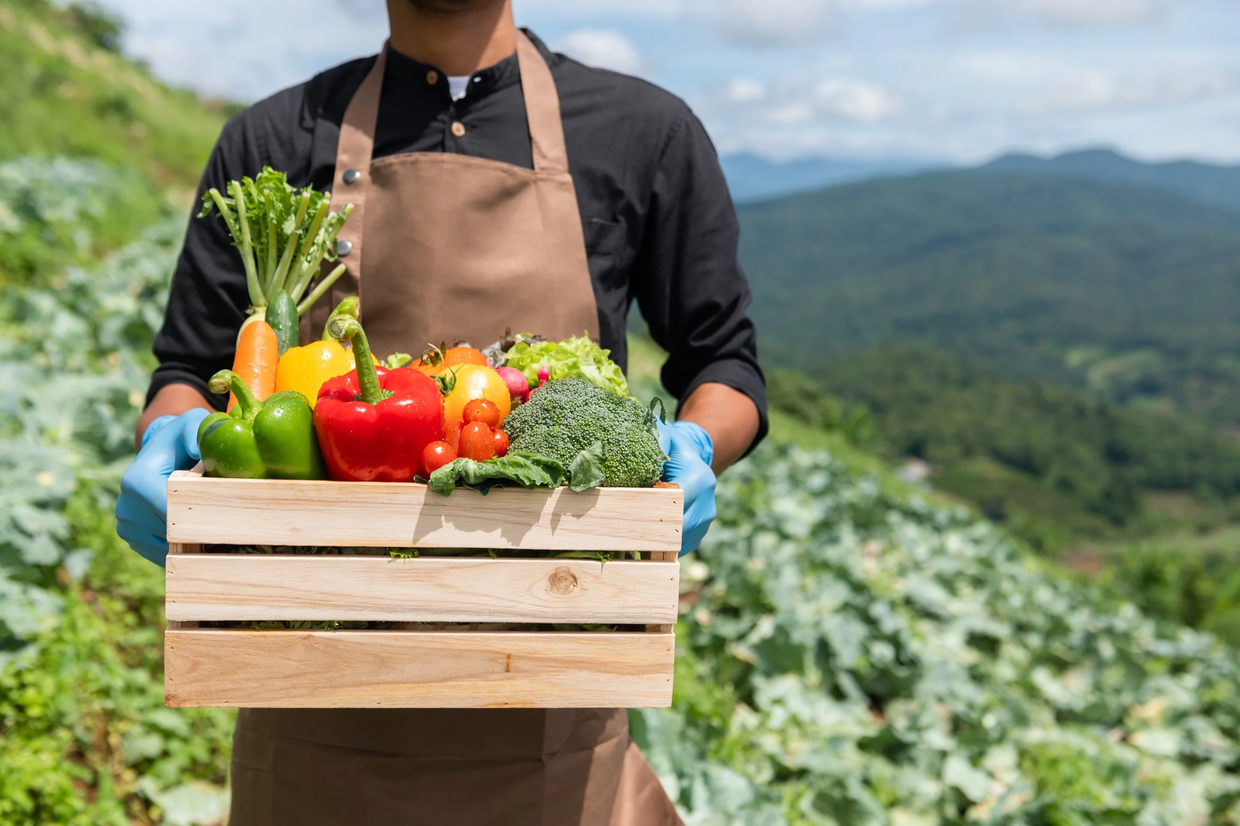 Person holding a wooden crate filled with fresh vegetables, including peppers, broccoli, lettuce, carrots, and cherry tomatoes, outdoors with a background of green mountains and a cloudy sky.