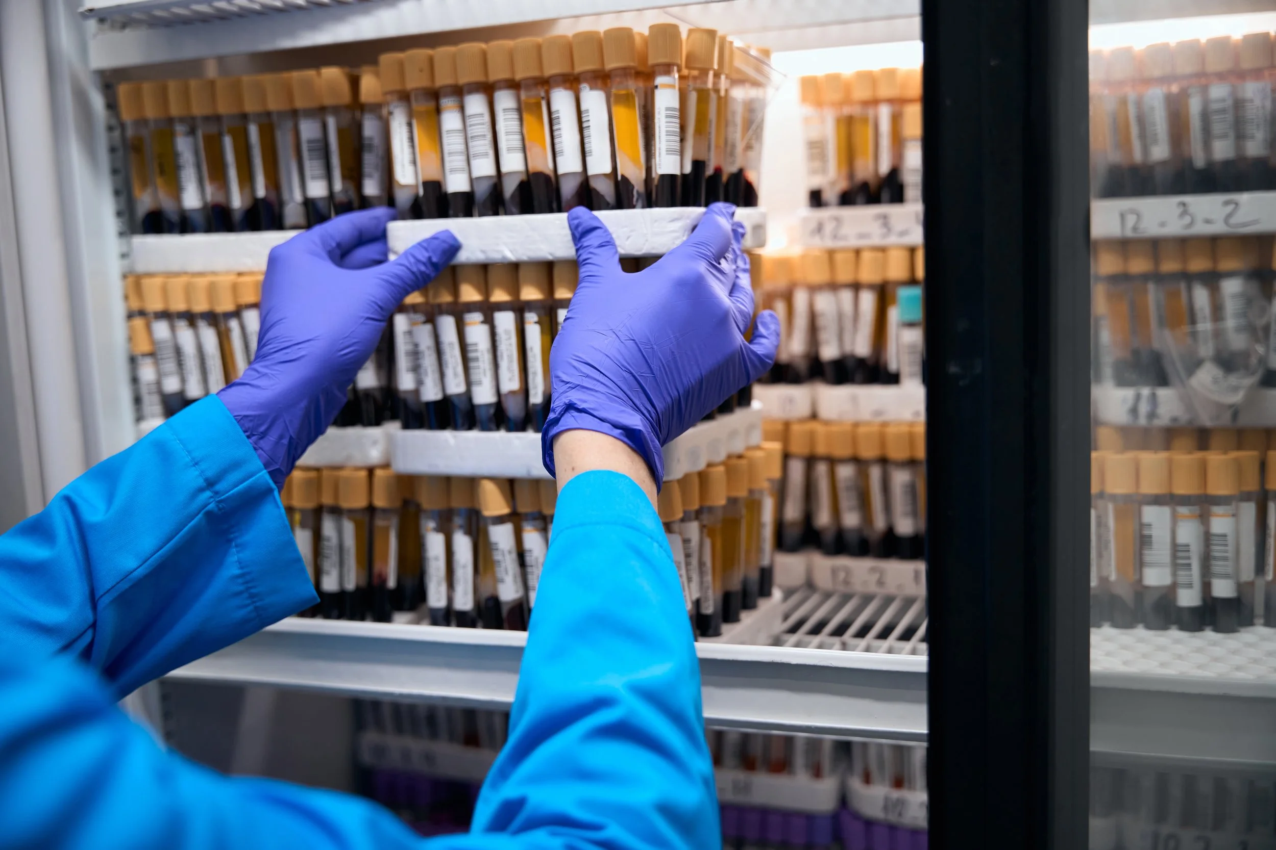 Person wearing purple gloves and blue lab coat organizing blood collection tubes in a refrigerator at a medical facility.