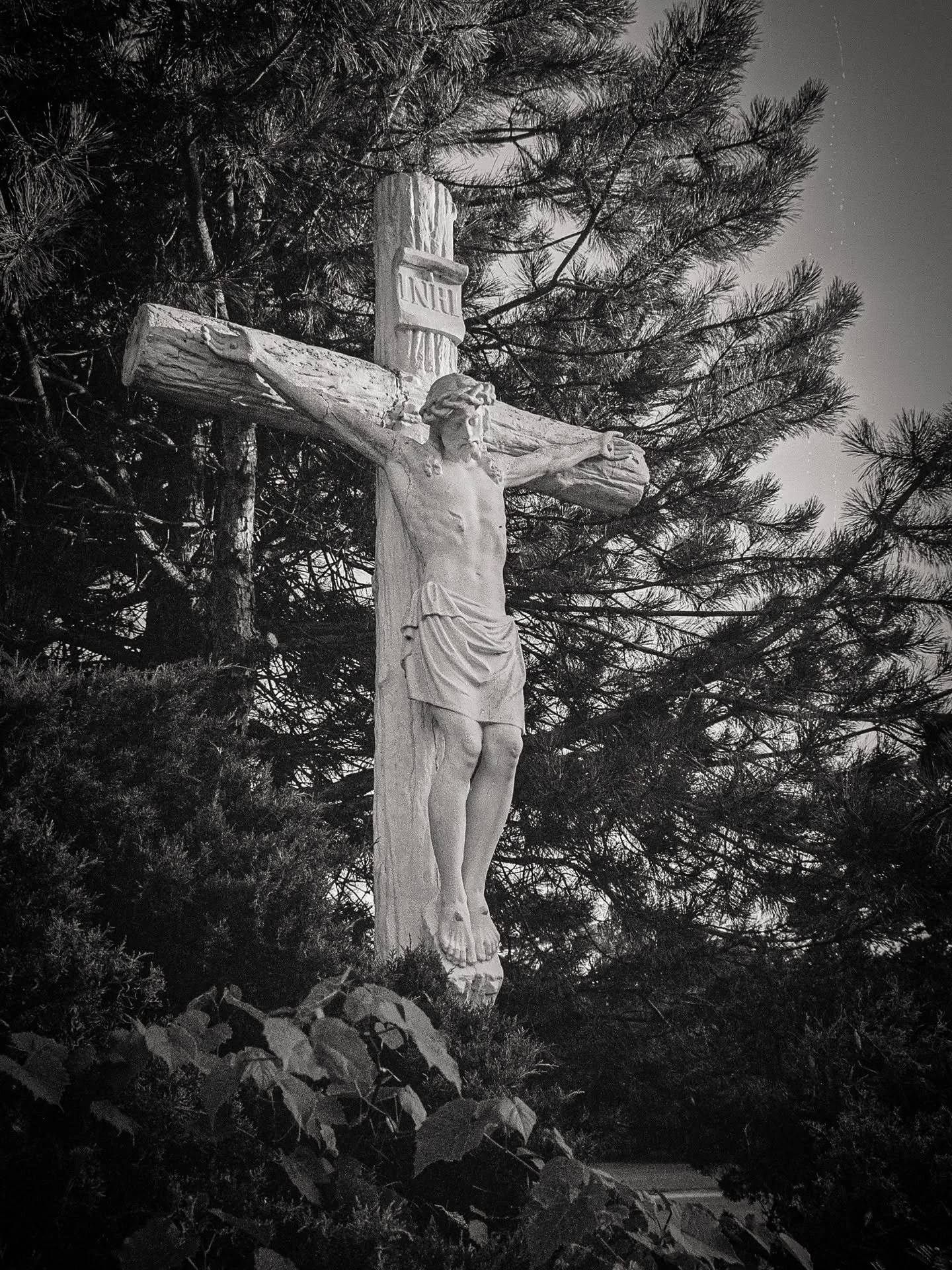 Black and white photo of a crucifix with Jesus Christ figure nailed to a wooden cross, surrounded by pine trees.