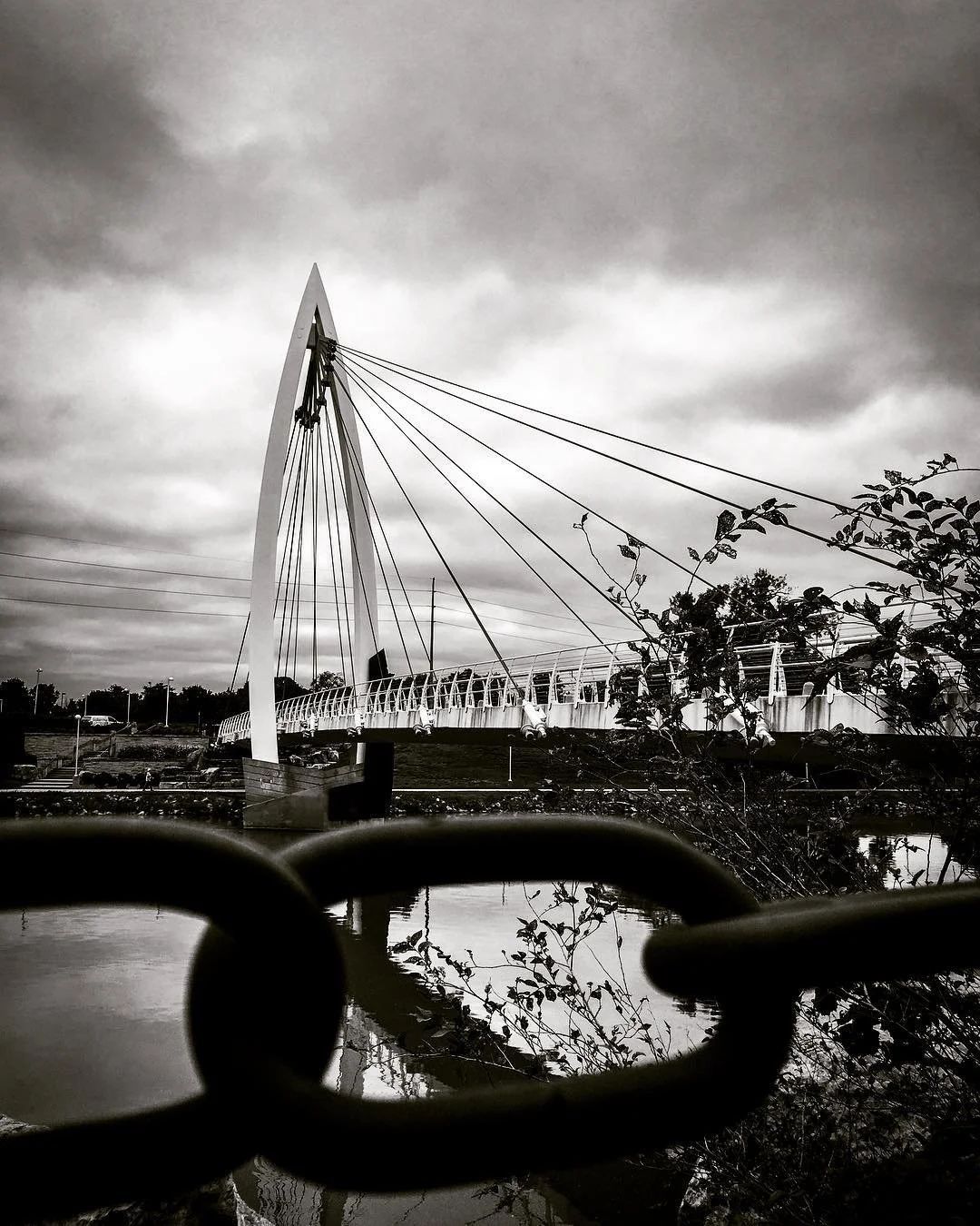 Black and white photo of a modern cable-stayed bridge with a high arch, over a body of water, with trees and cloudy sky in background, seen through a chain link fence.