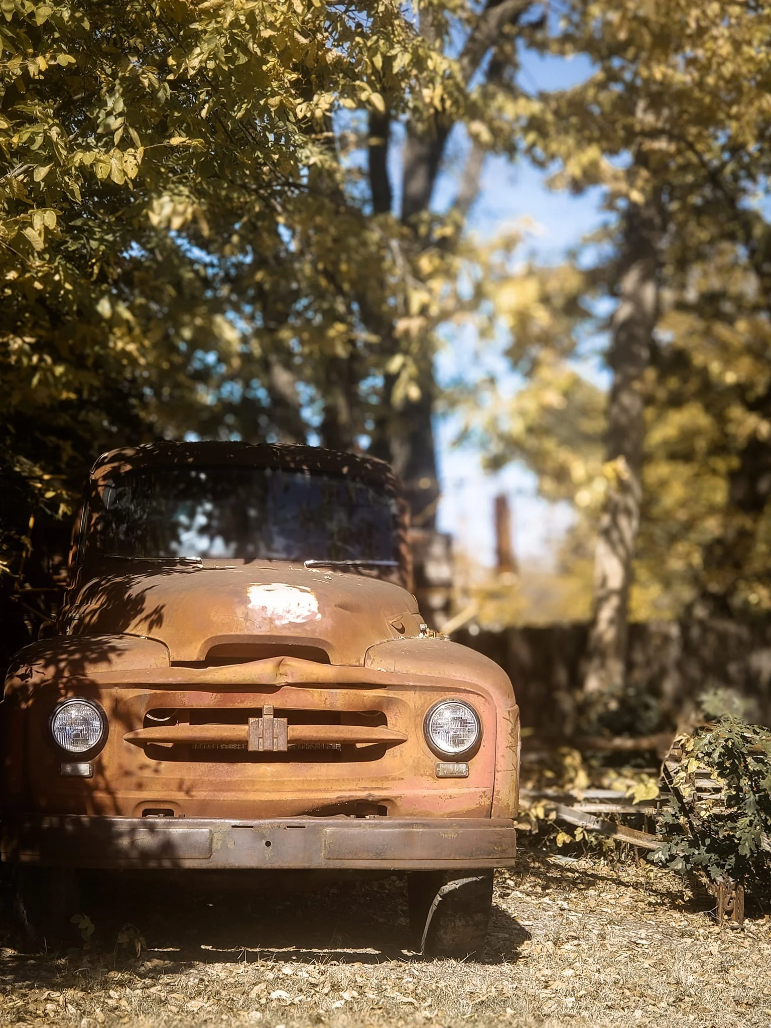 An old, rusty brown truck parked outdoors among trees with green and yellow leaves, casting shadows on the vehicle and ground.