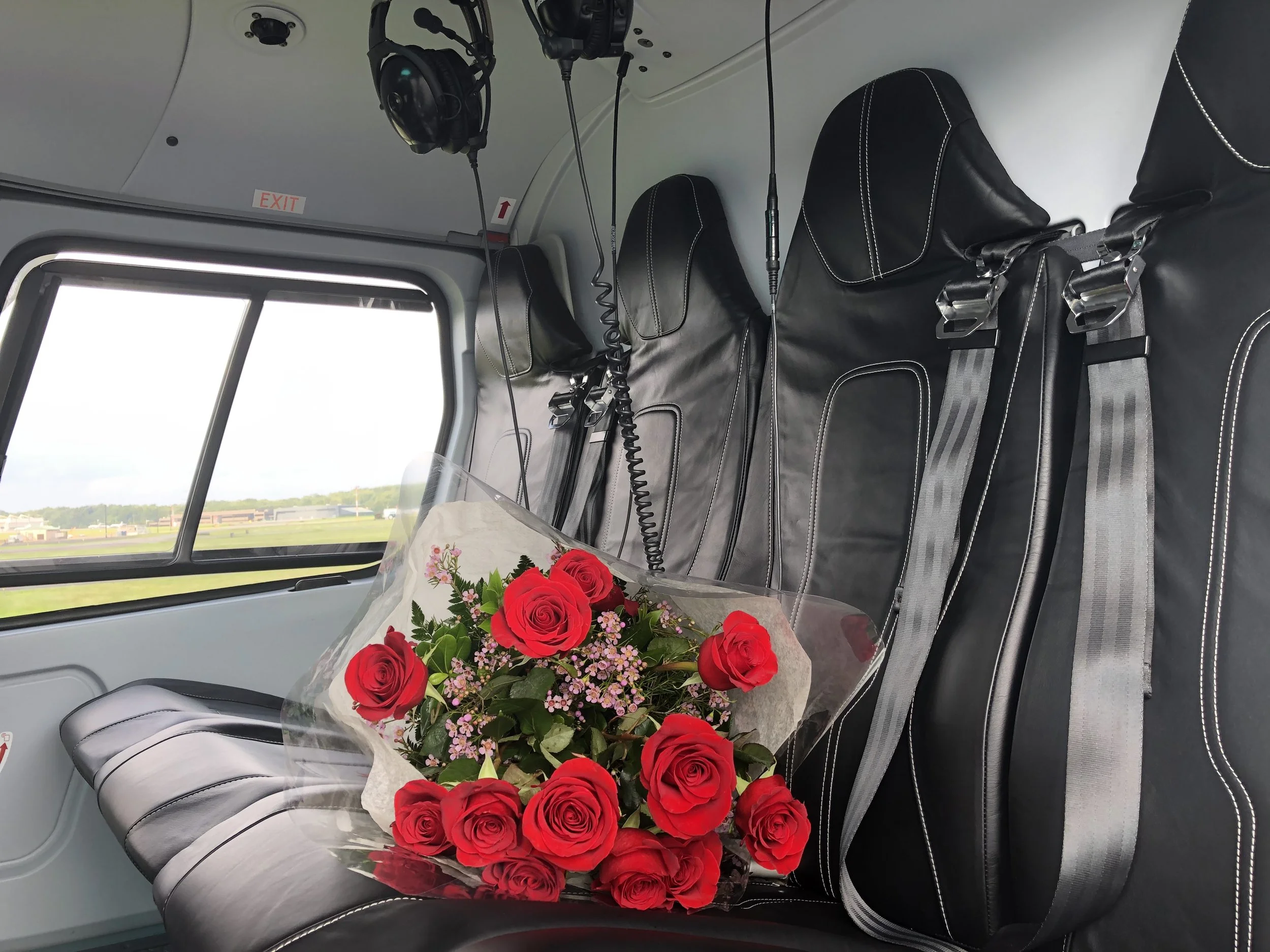 AStar Interior with Roses.jpg