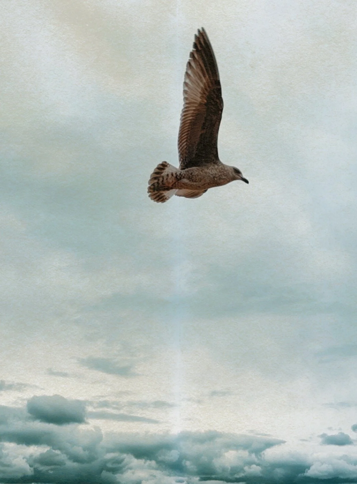 IMG_0880.png