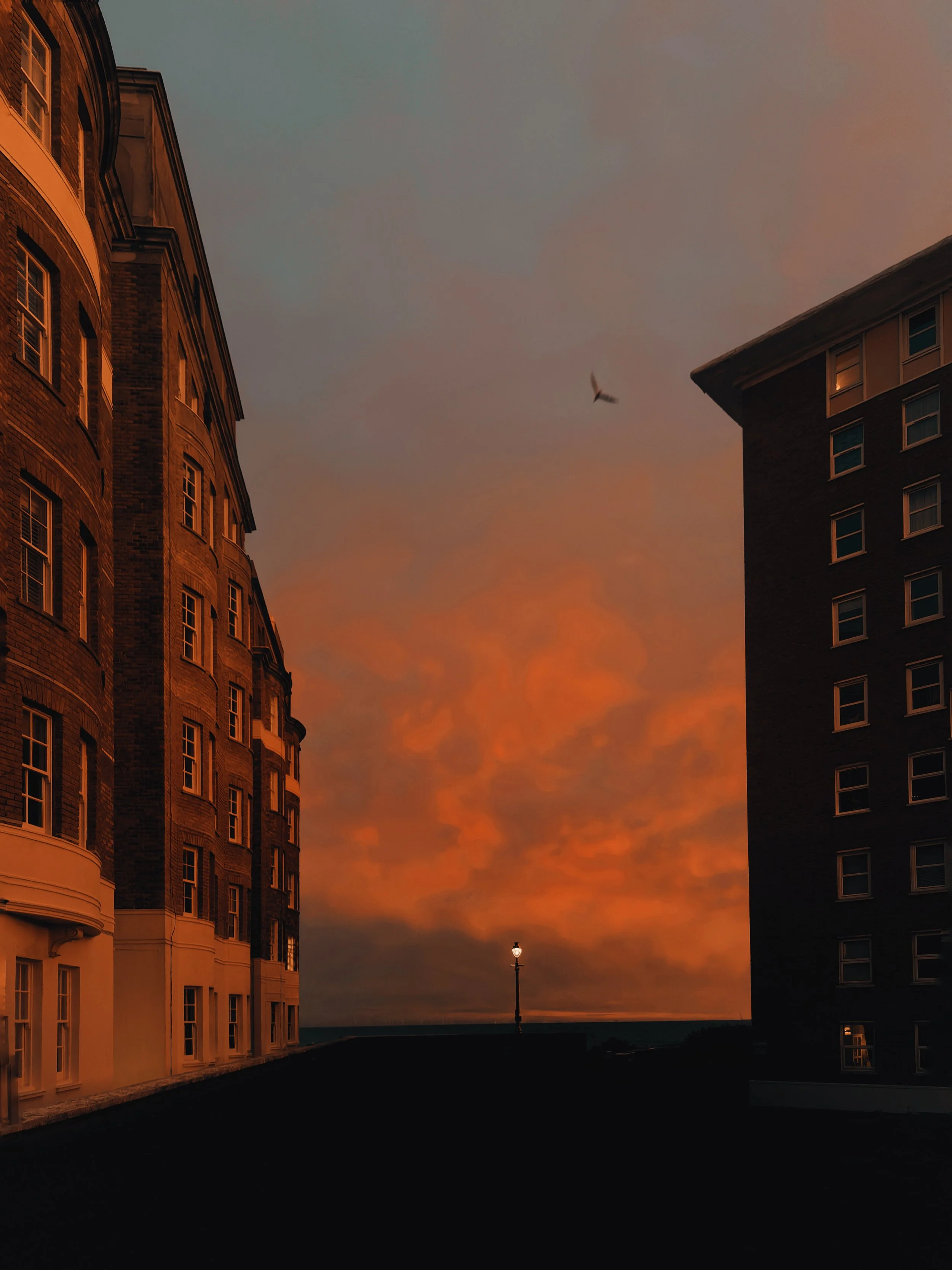 AfterlightImage 4.jpg