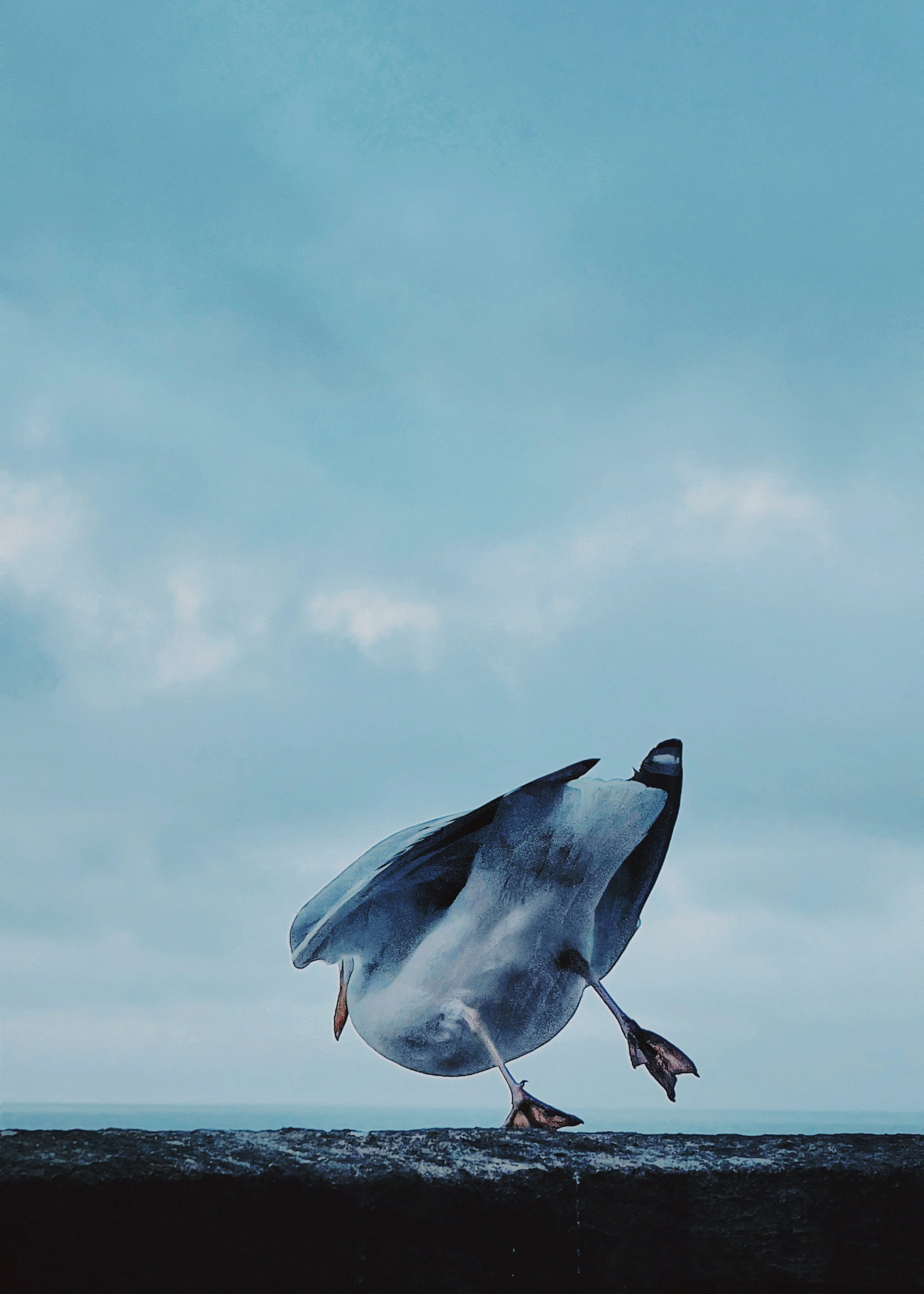 2022-11-22 10.11.12.jpg