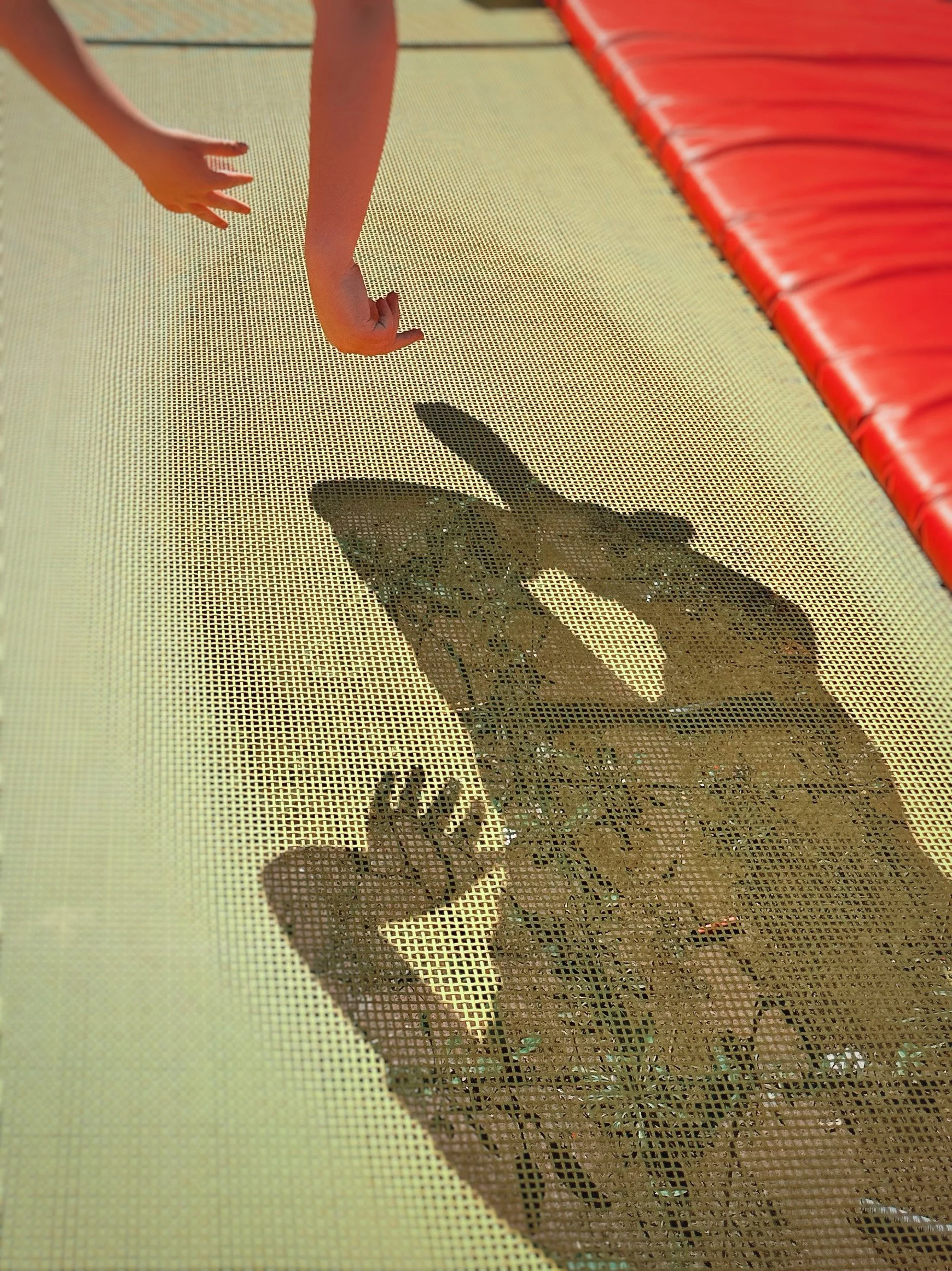 AfterlightImage 15.jpg