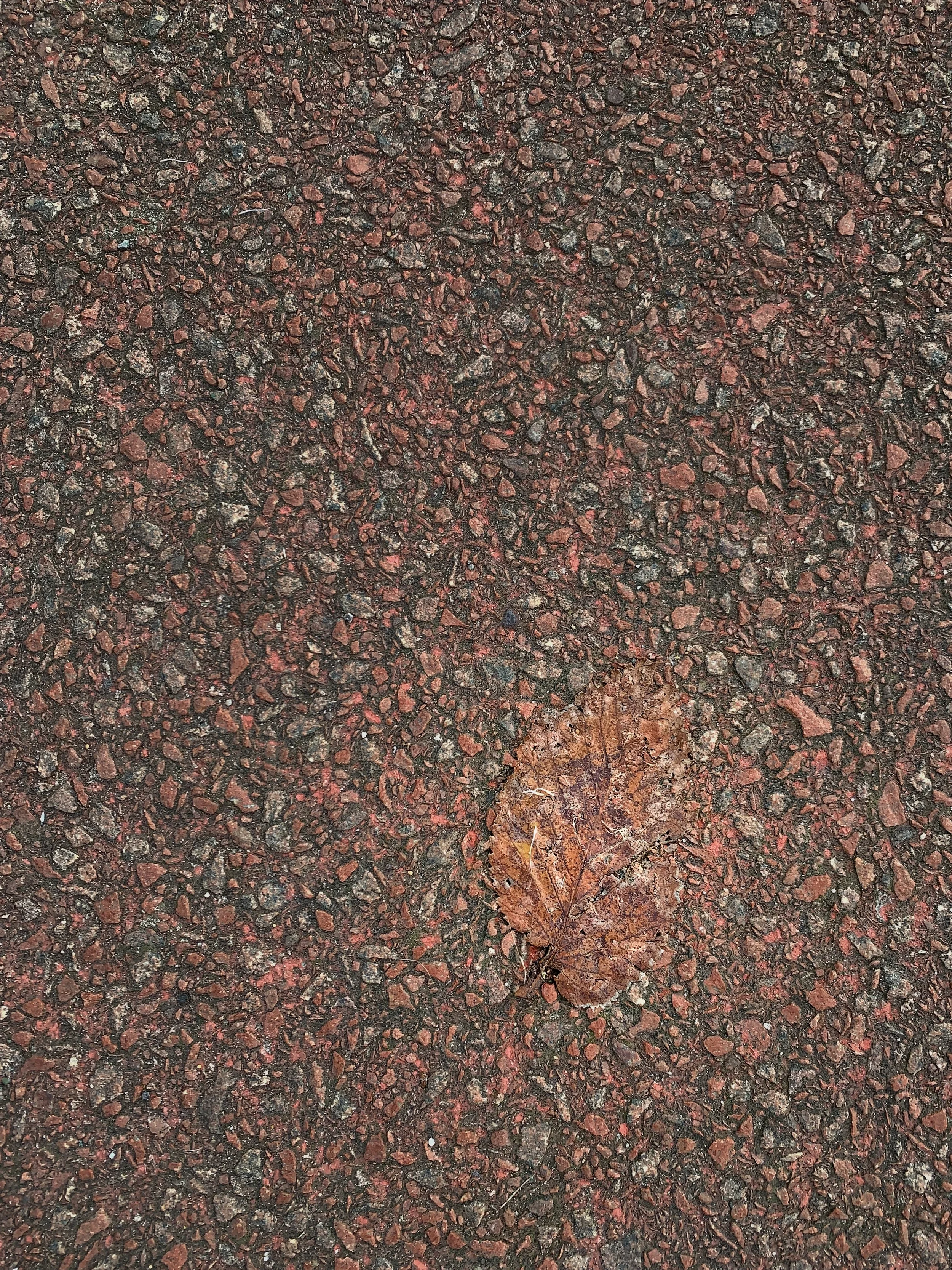 IMG_7385-1.JPEG (1).webp