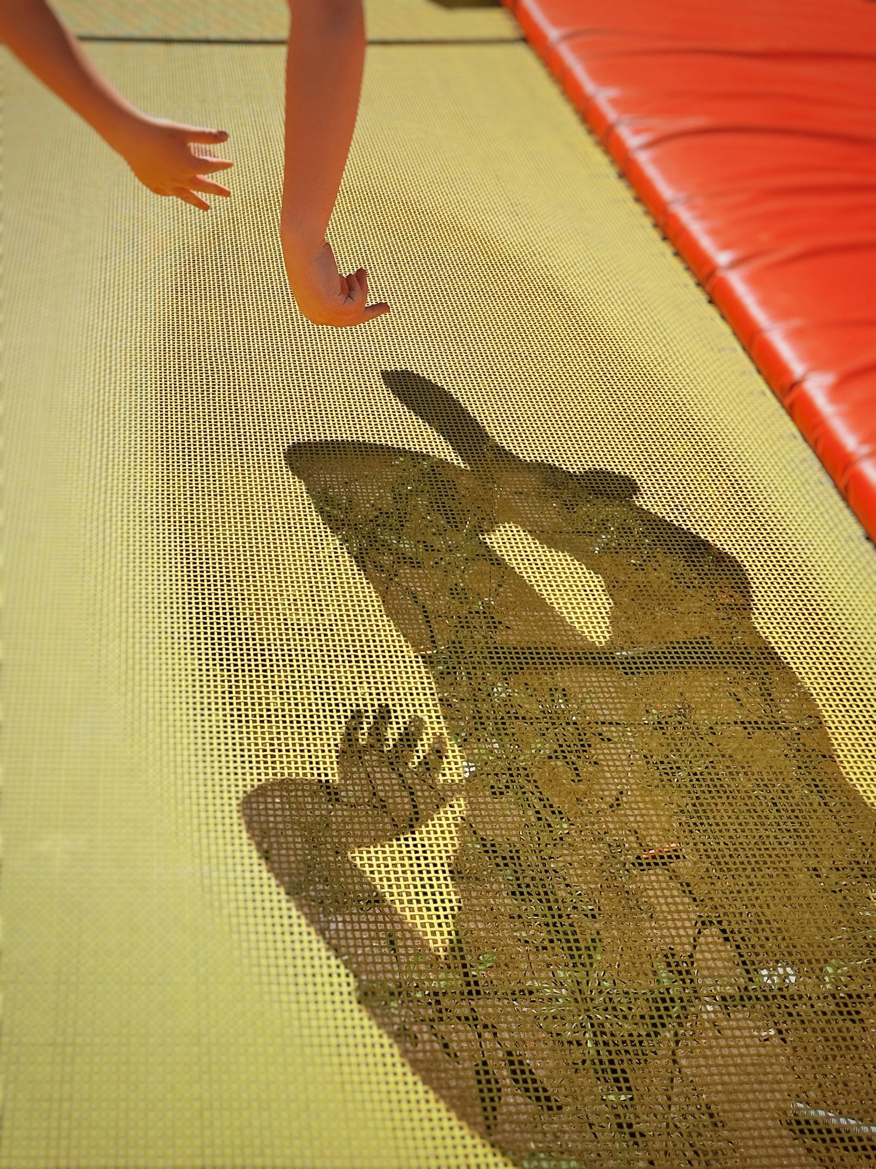 AfterlightImage (5).jpg