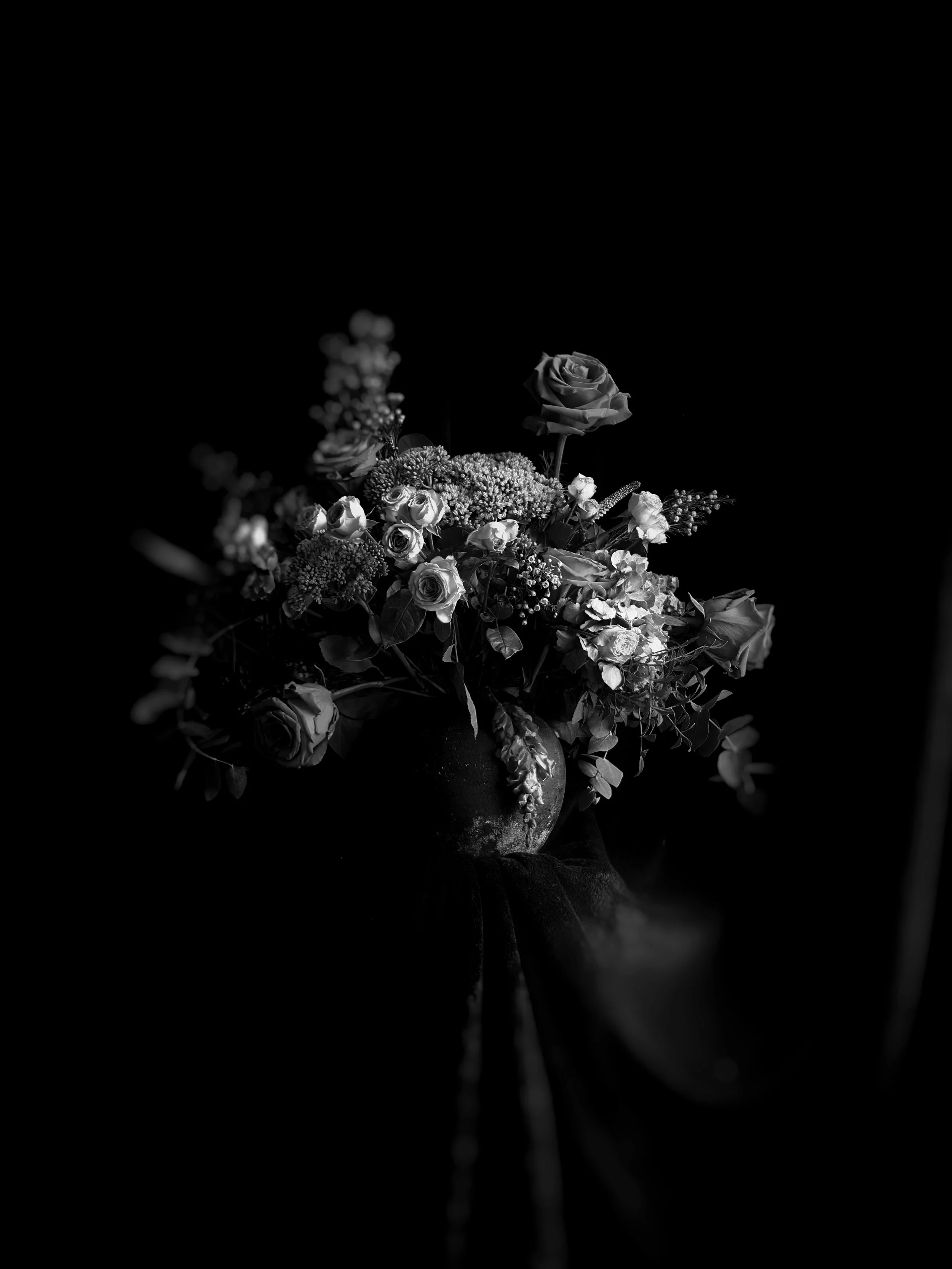 IMG_3648.JPG