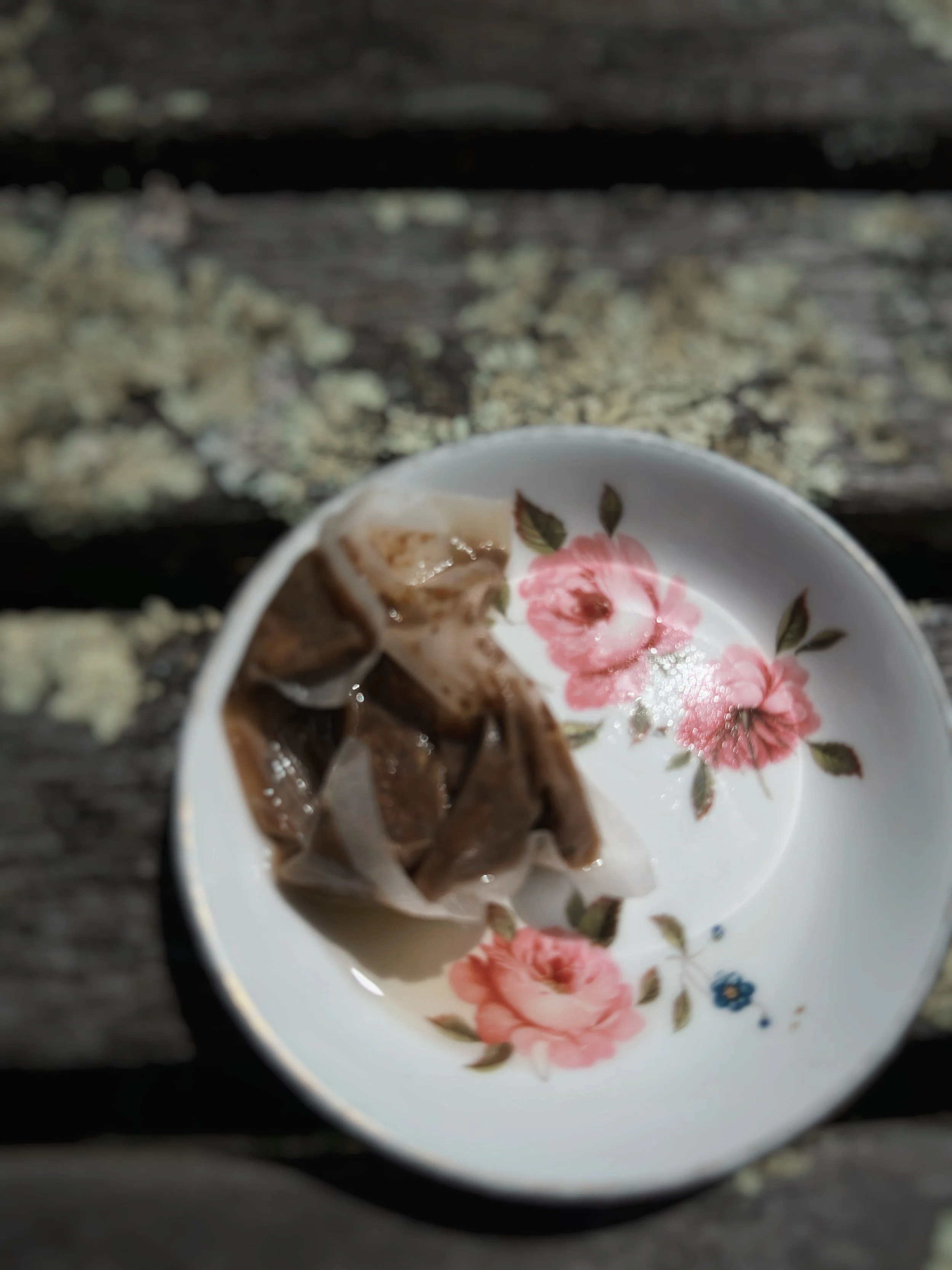 AfterlightImage (1) 4.jpg