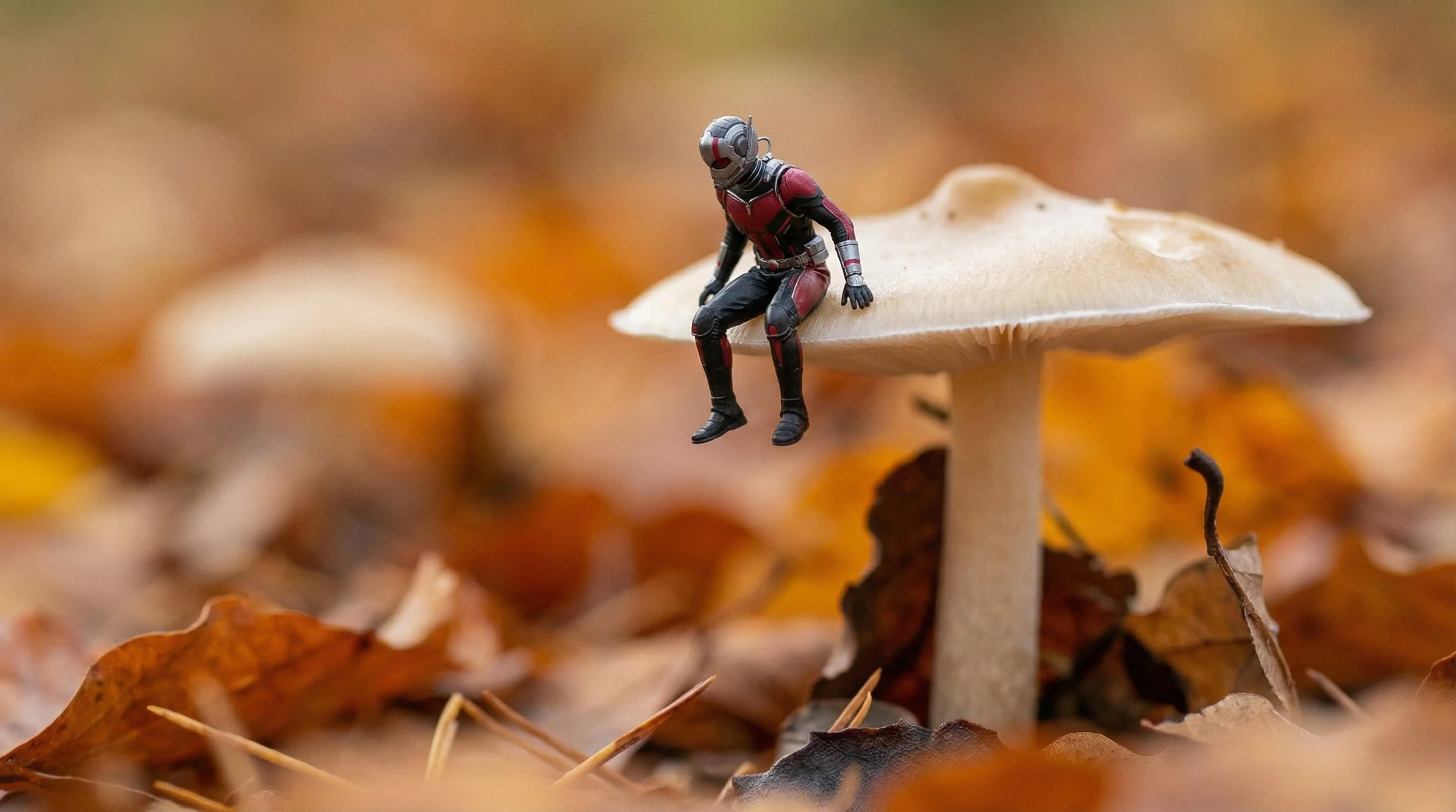 87e14e10-348f-4e6a-955e-b18f7a861e1d.jfif