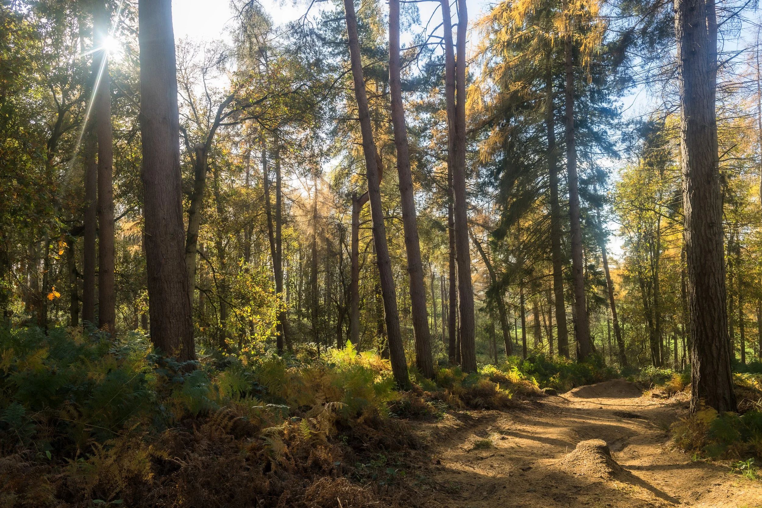 CYC_4360_02 copy.jpg