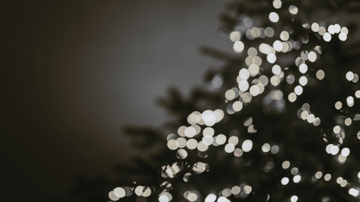 5+1 christmas inspired perfume