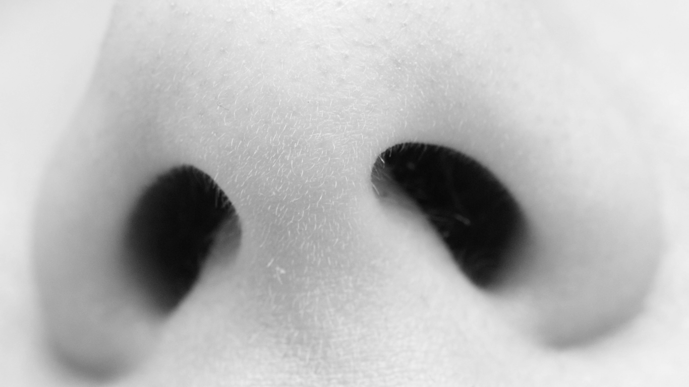 how does our nose remember?