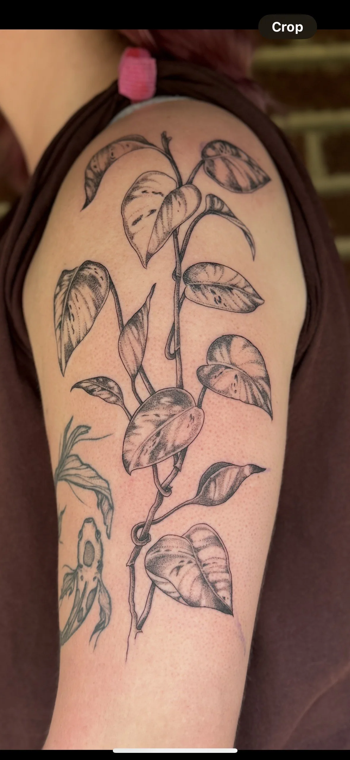 sarah new shop insta.JPEG