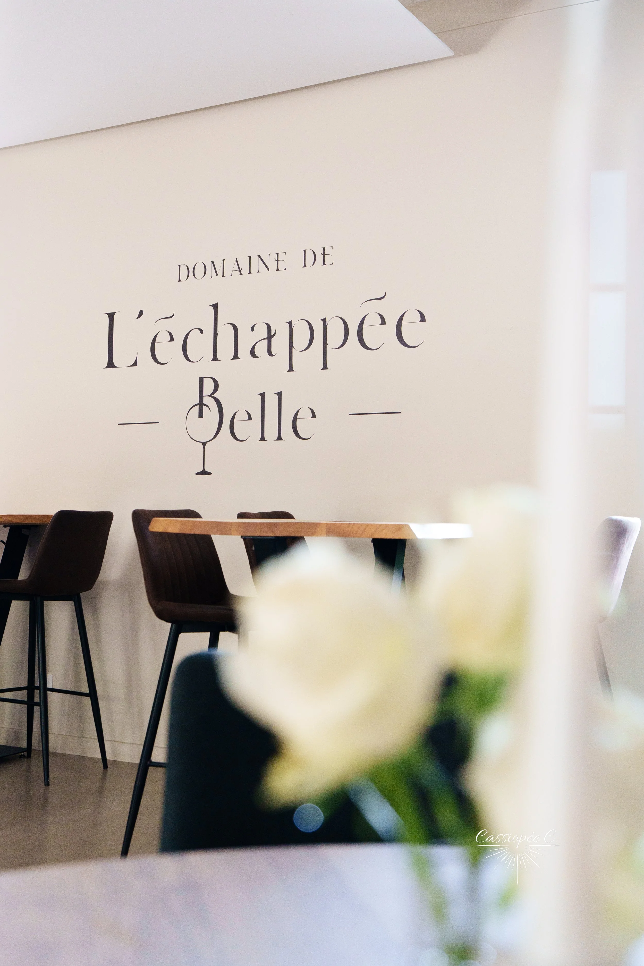Mur blanc avec inscription « Domaine de l'échappée Belle » en lettres noires, dans un espace intérieur avec des tables et des chaises en bois foncé, et une plante floue au premier plan.