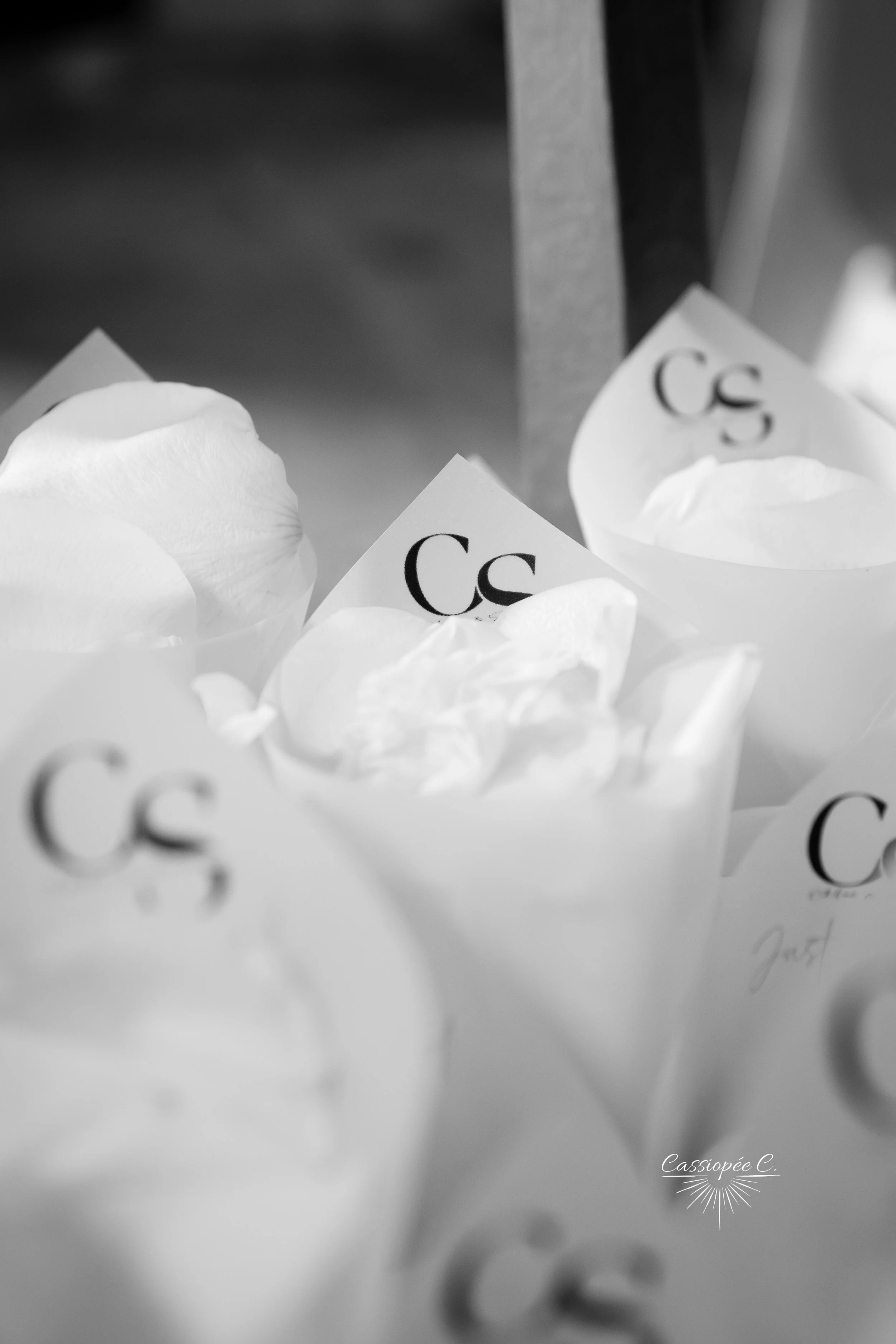 Cornets de pétales blancs avec des étiquettes 'CS'.