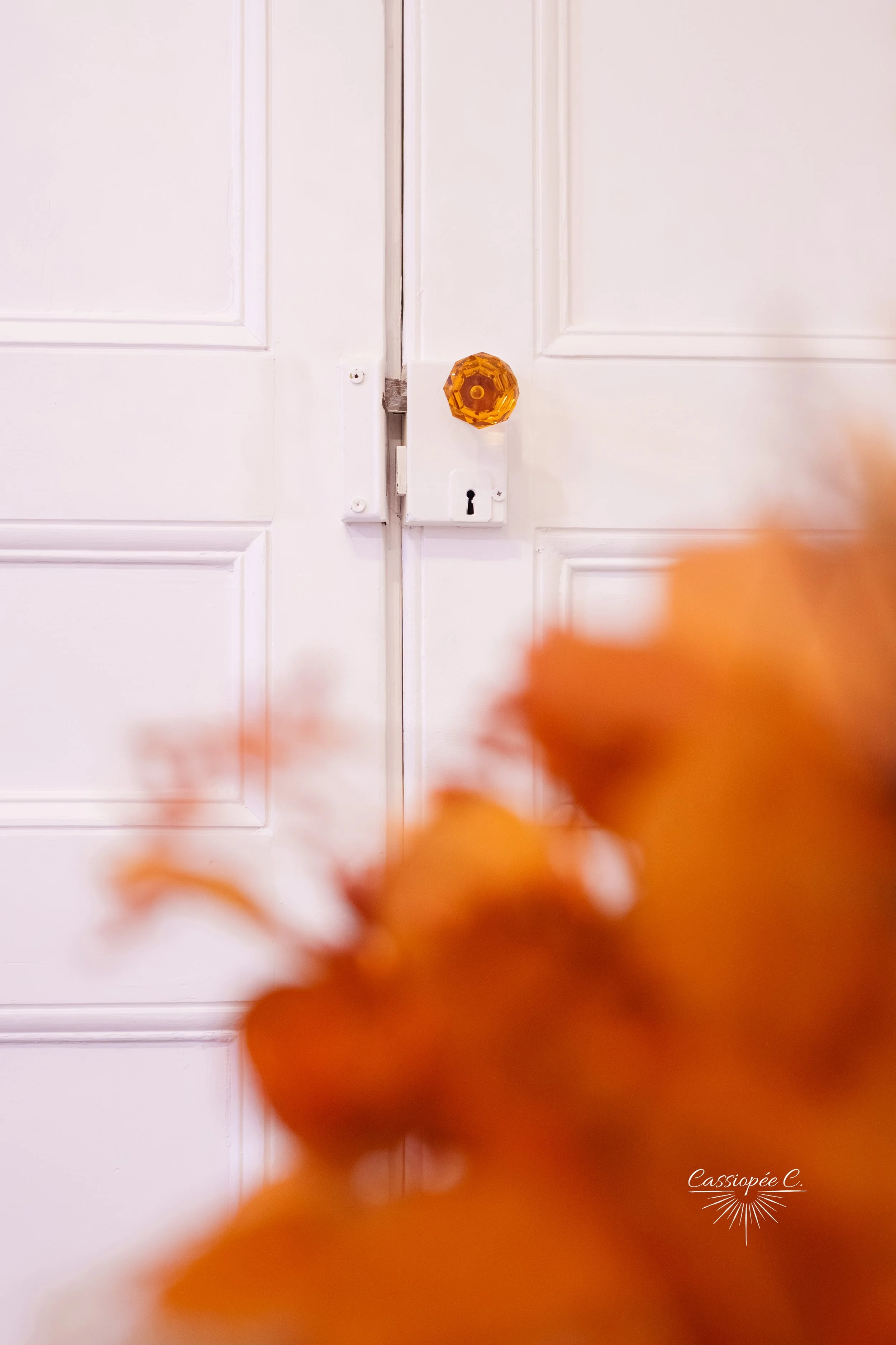 Une porte blanche avec une poignée en verre orange, une serrure et un verrou, vue de face. La photo est légèrement floue sur les bords avec un bouquet orange en premier plan.