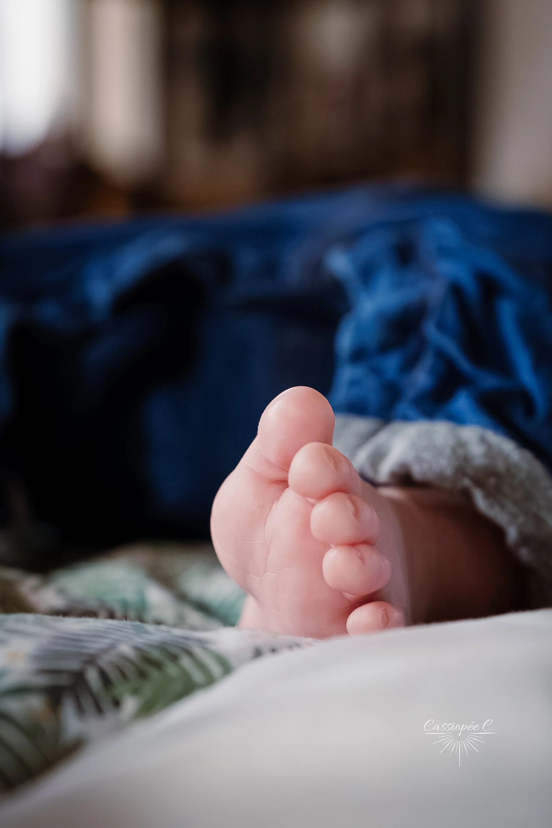 Site Cassiopée C-33.jpg