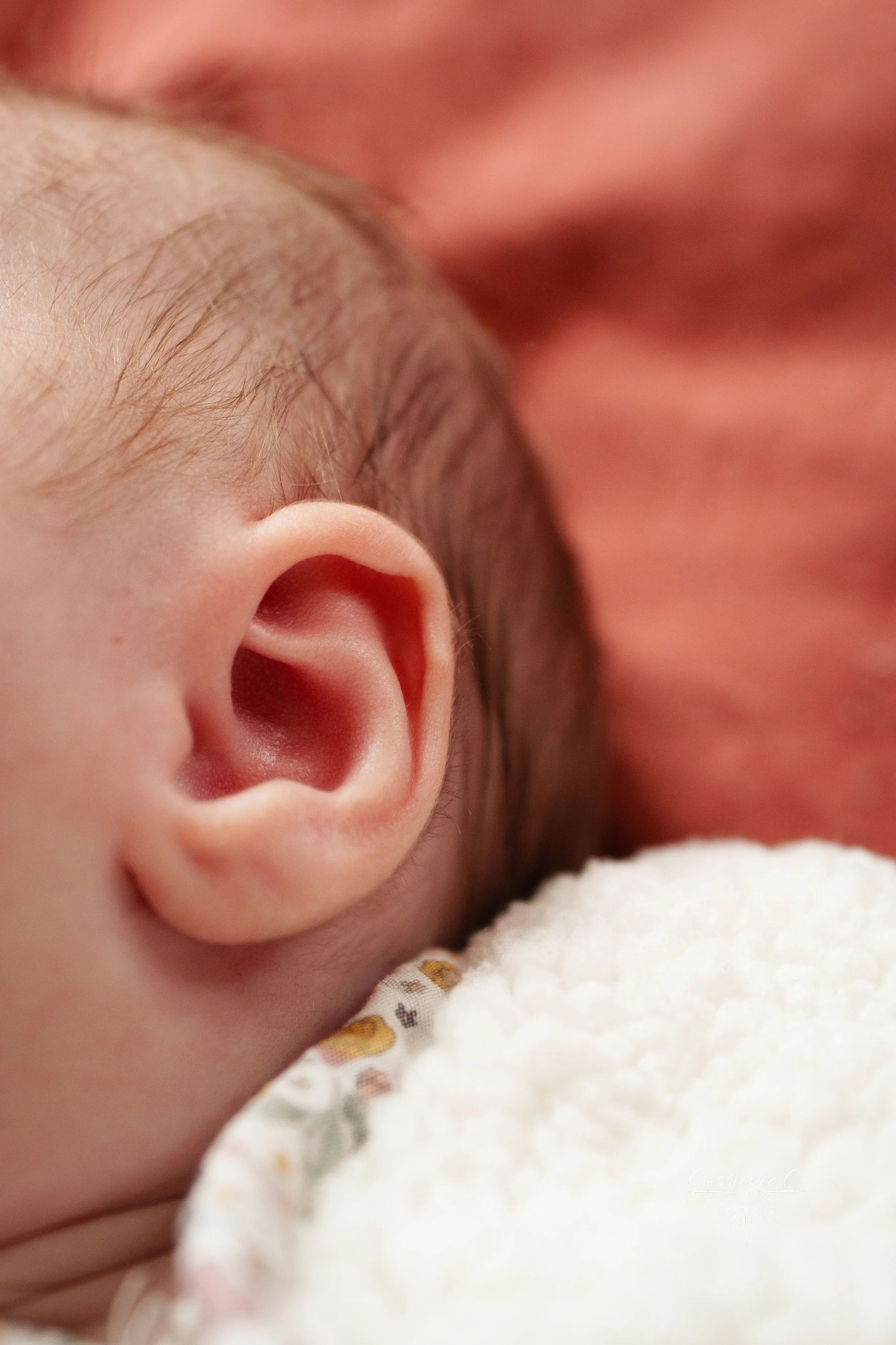 Gros plan d'une oreille de bébé avec une peau douce et des cheveux fins.