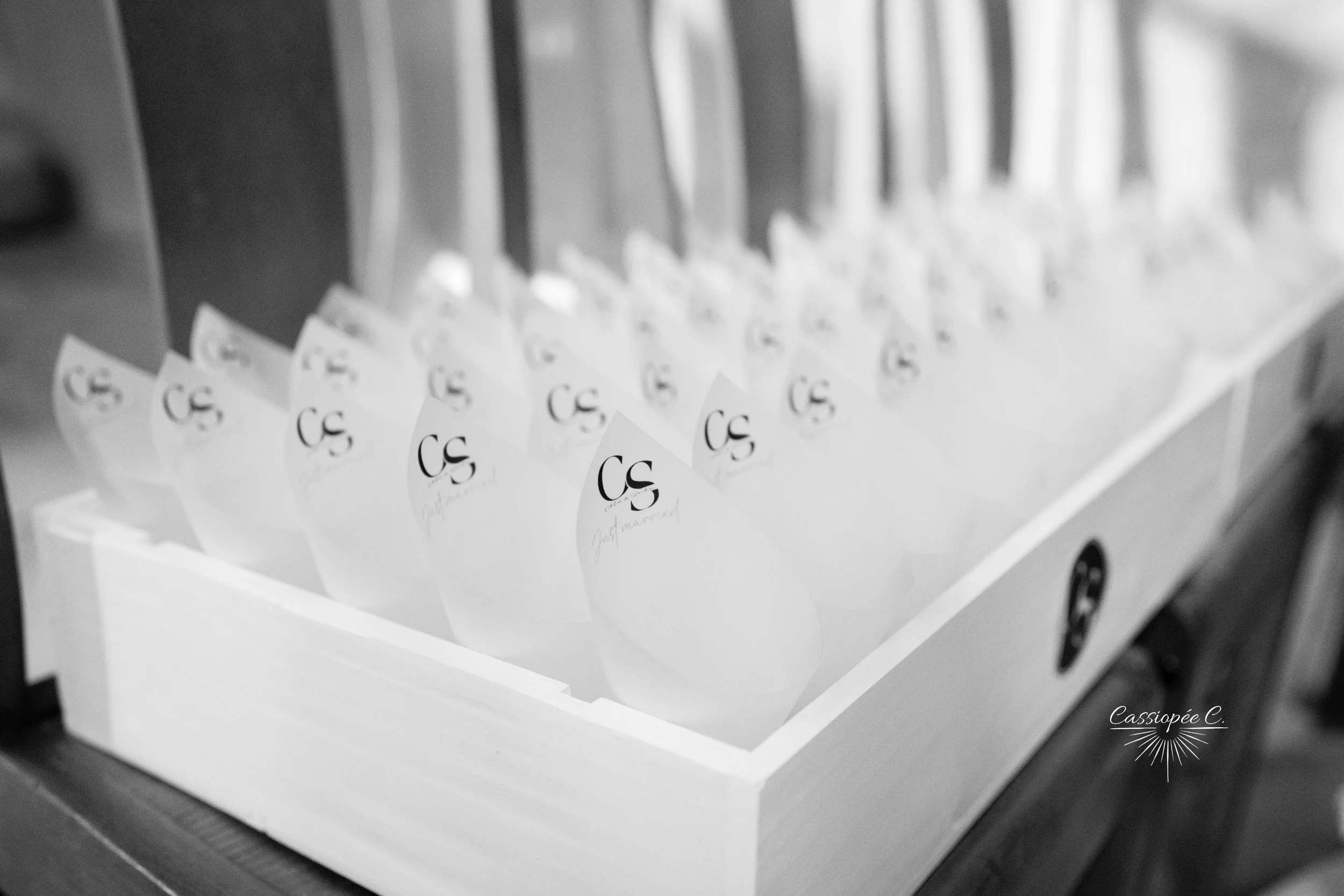 Cornets de pétales de mariage avec le logo 'CS' dans une boîte.
