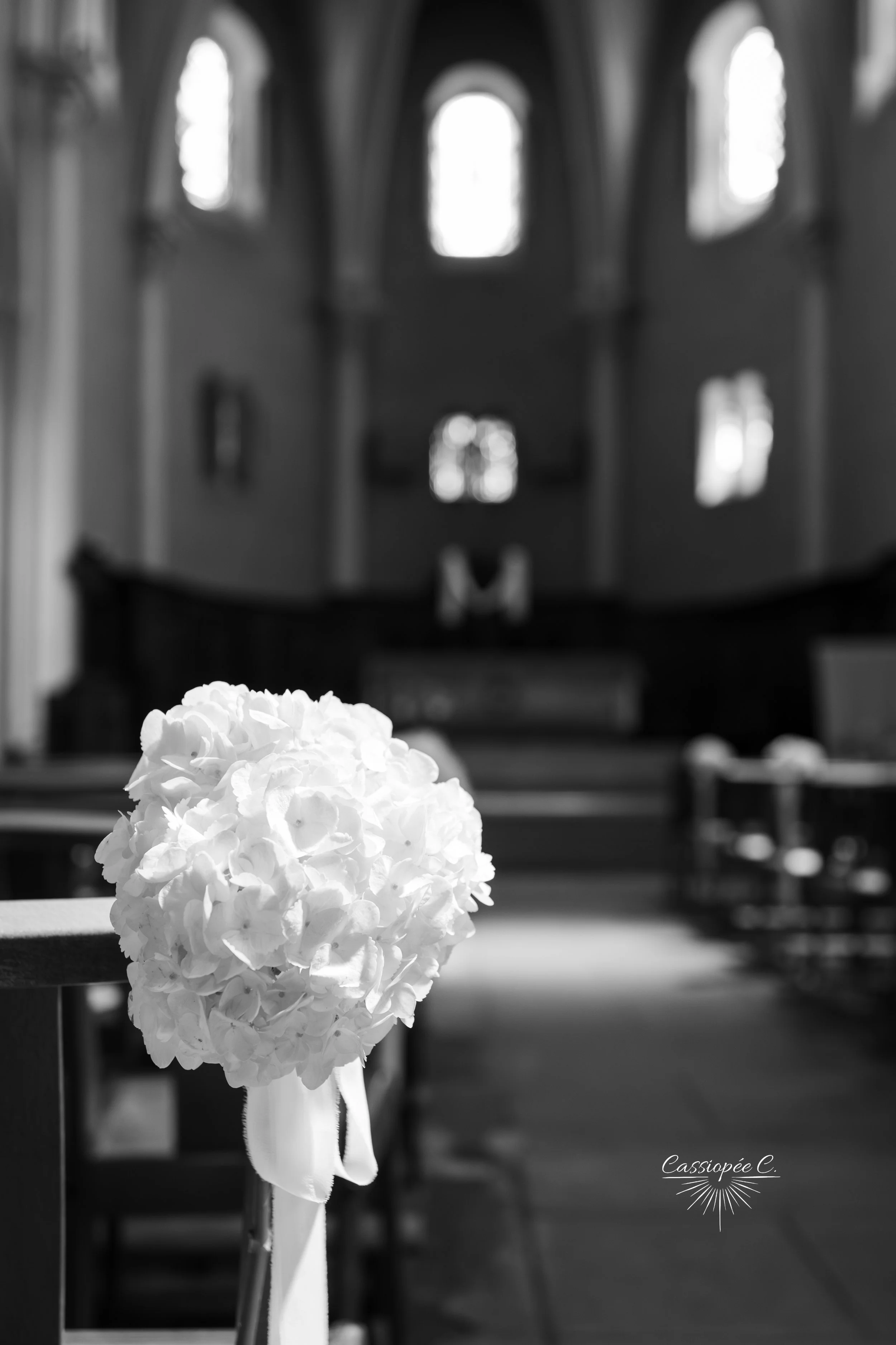 Une hydrangea blanche placée sur les bancs dans une église avec des fenêtres en arc en arrière-plan.