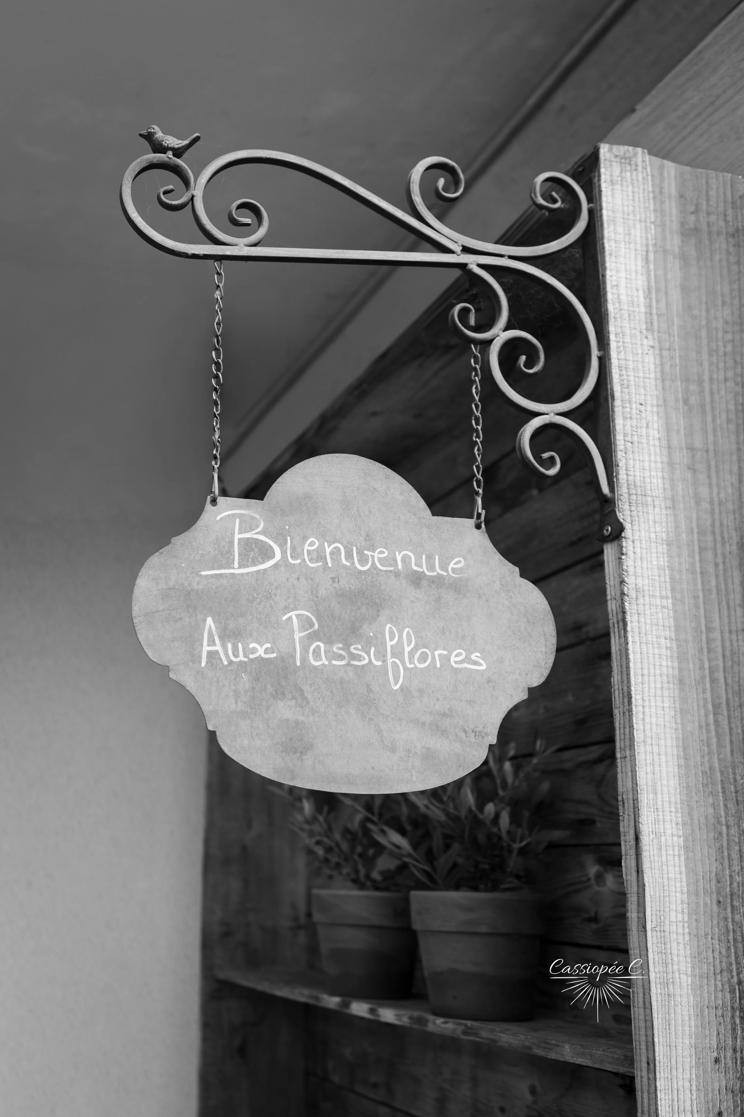 Une enseigne en fer suspendue par des chaînes indiquant 'Bienvenue Aux Passiflores' devant une étagère en bois contenant des pots de fleurs.