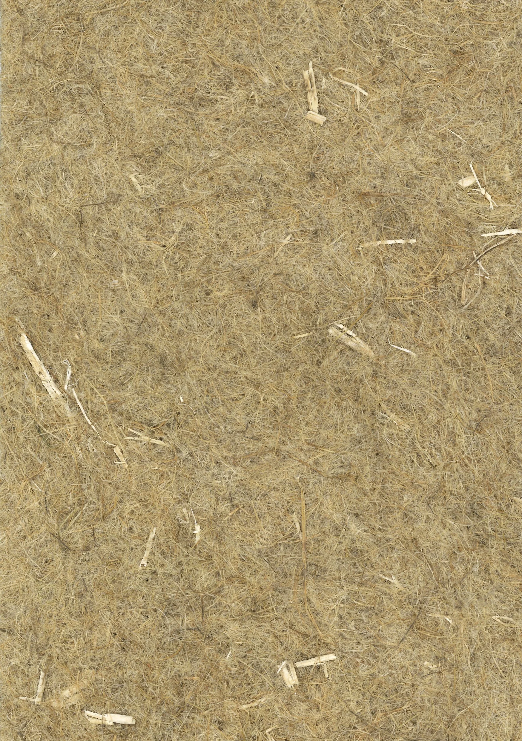 Hemp fiber.jpg