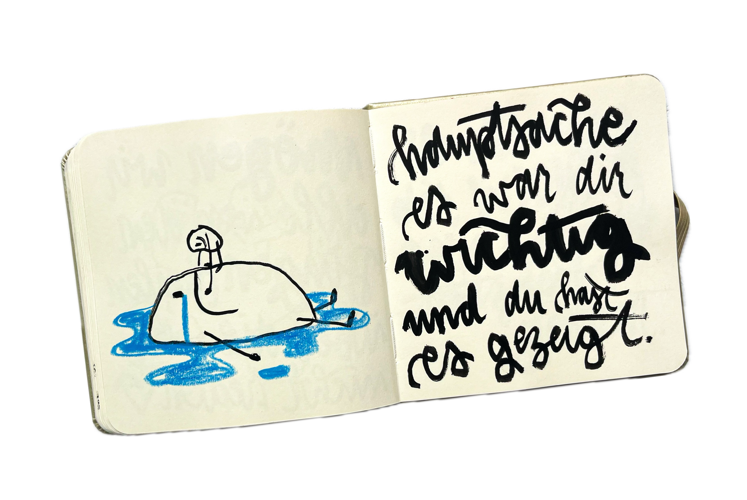 IMG_4646.png