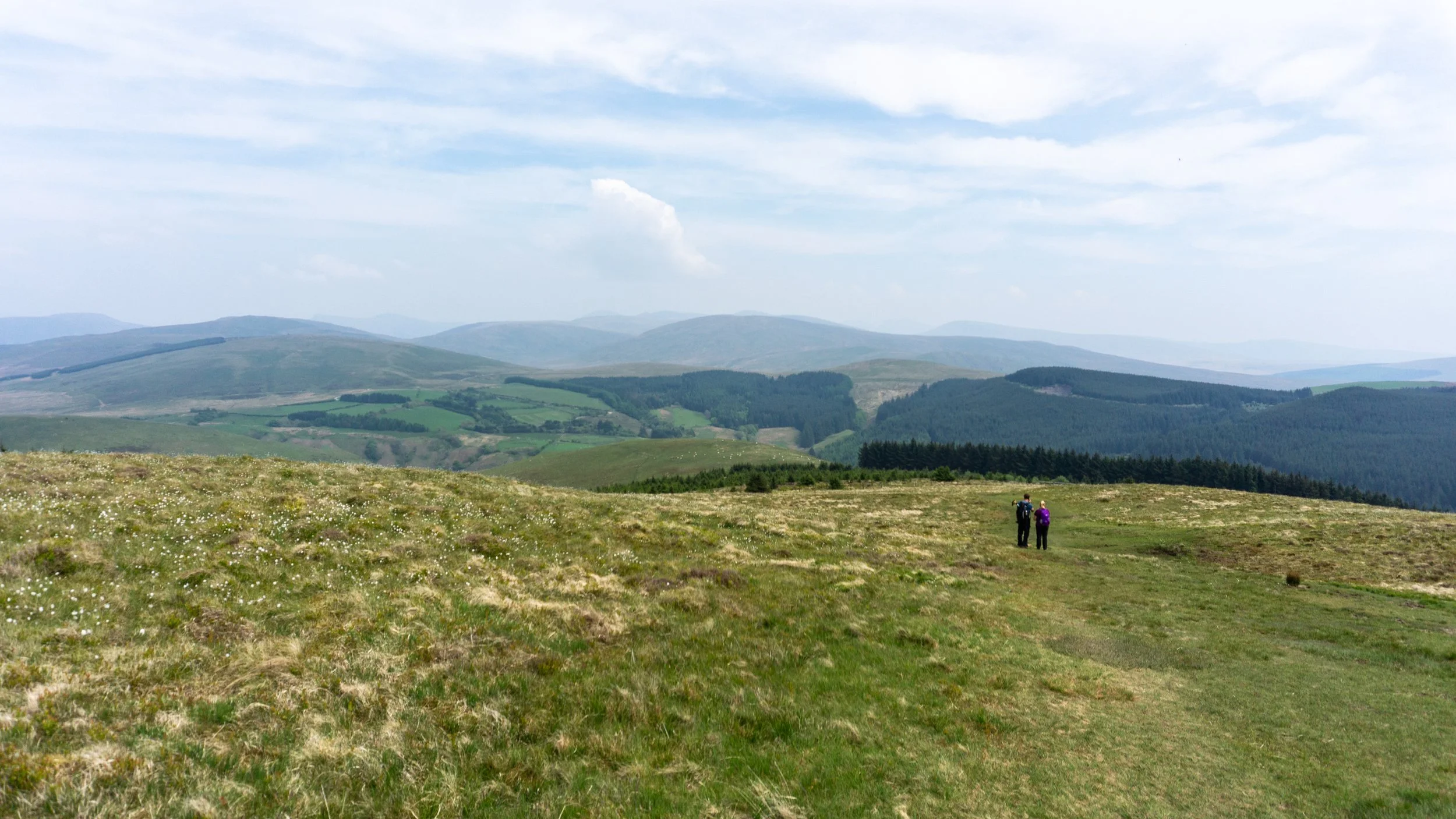 Coast to coast field.JPG