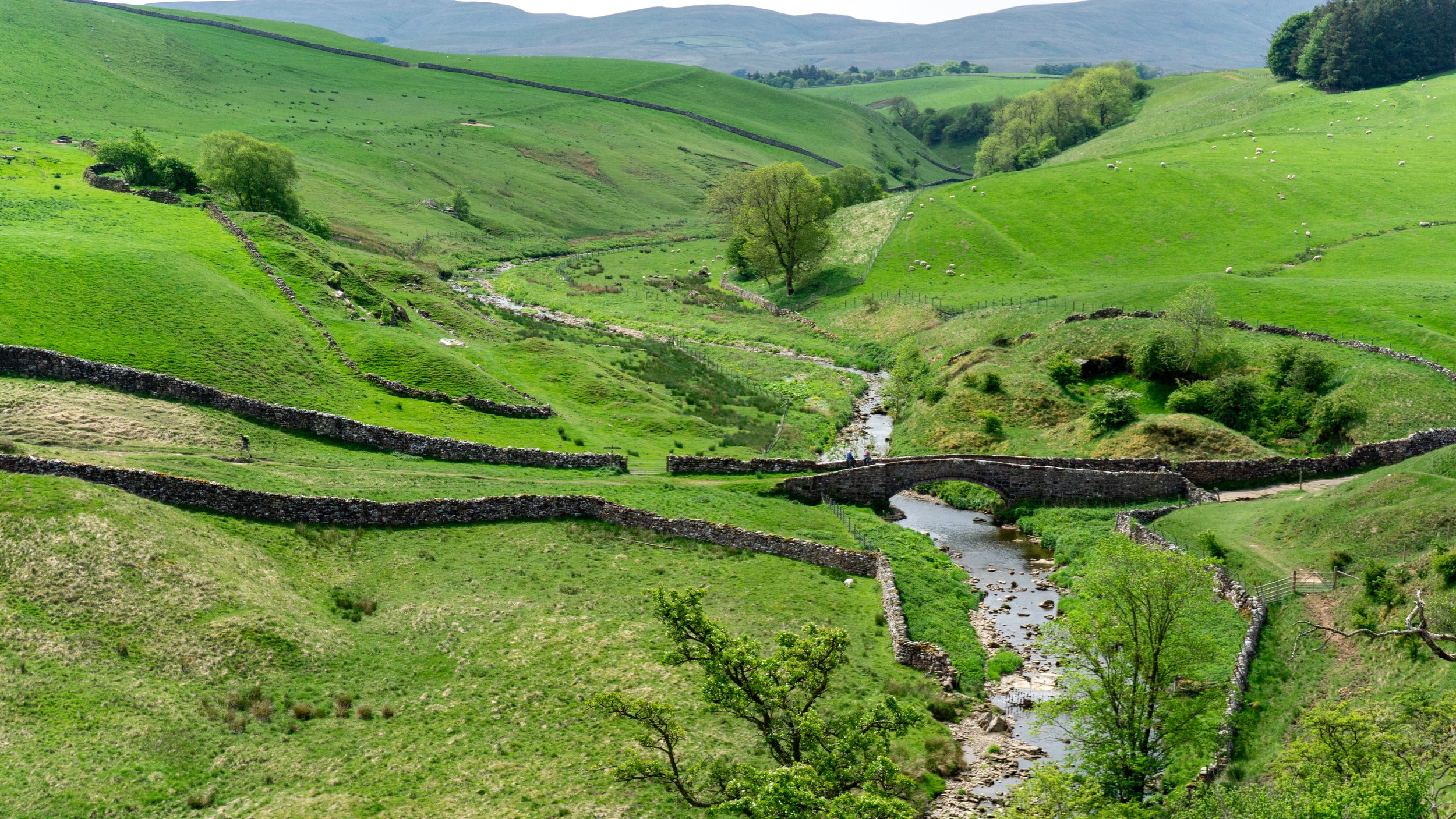 coast to coast green.JPG