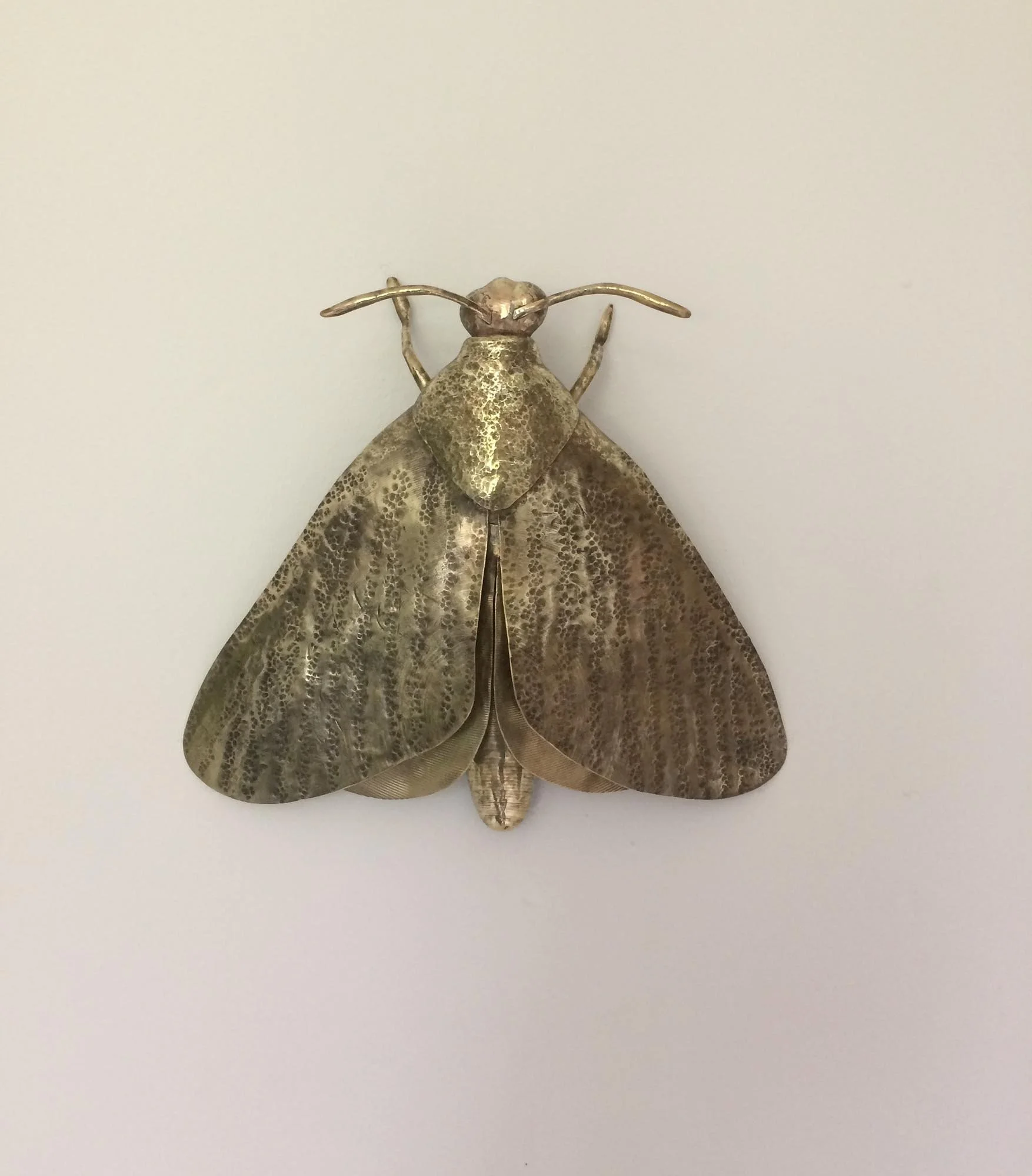 Moth, 2017, 30x28x6 cm, brass, (sold)