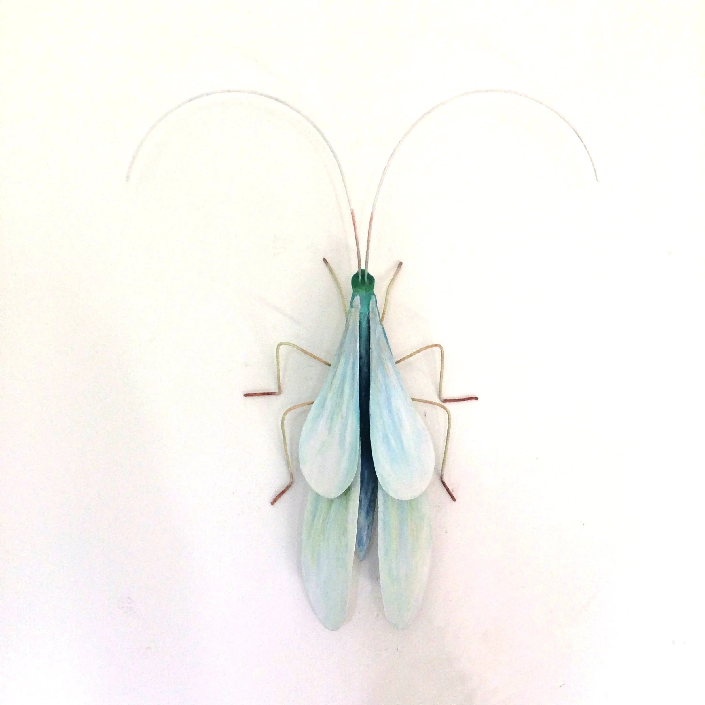 fly 2, 2017, 32x17x6 cm, Steel, (sold)