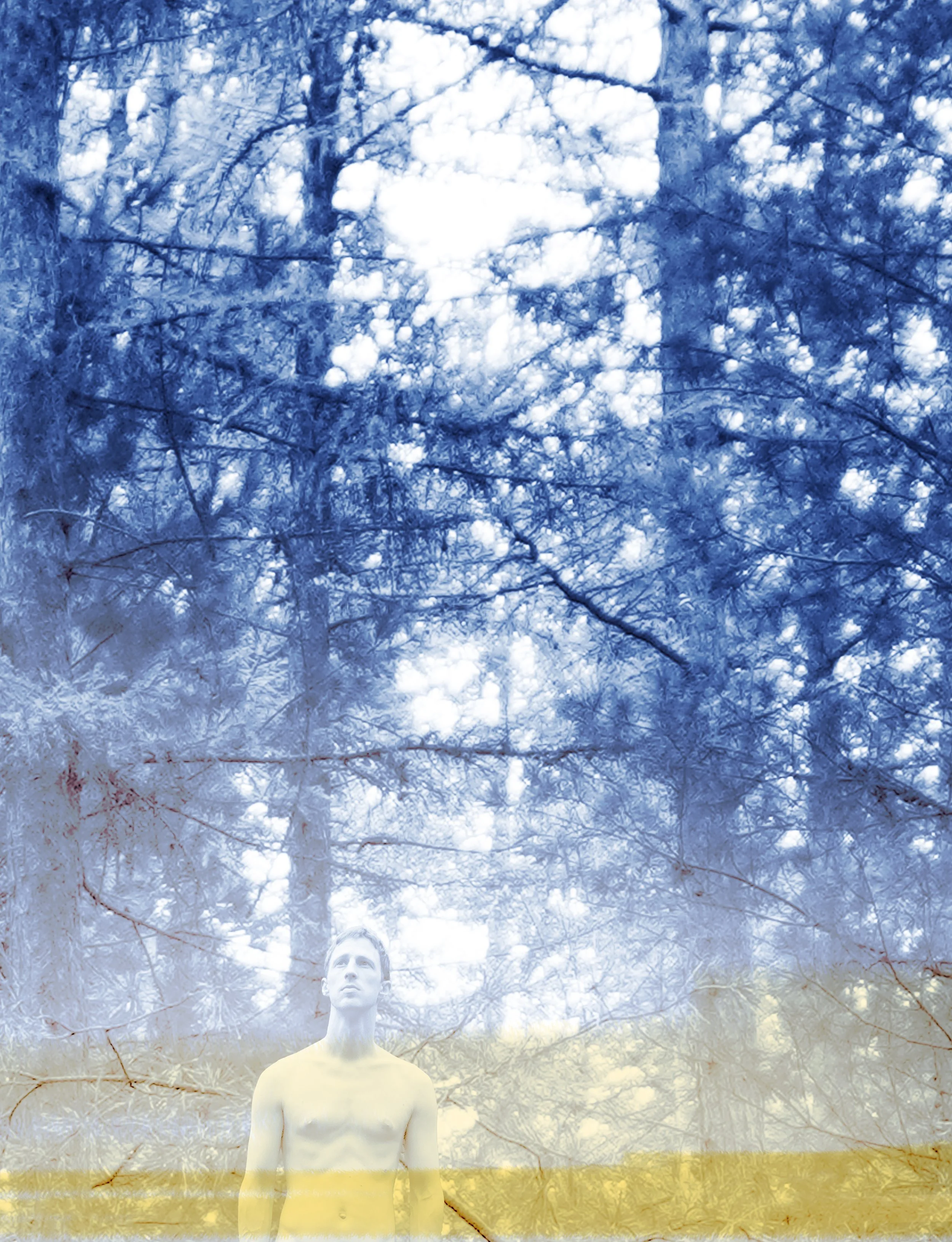 staand bos4 kopie.jpg