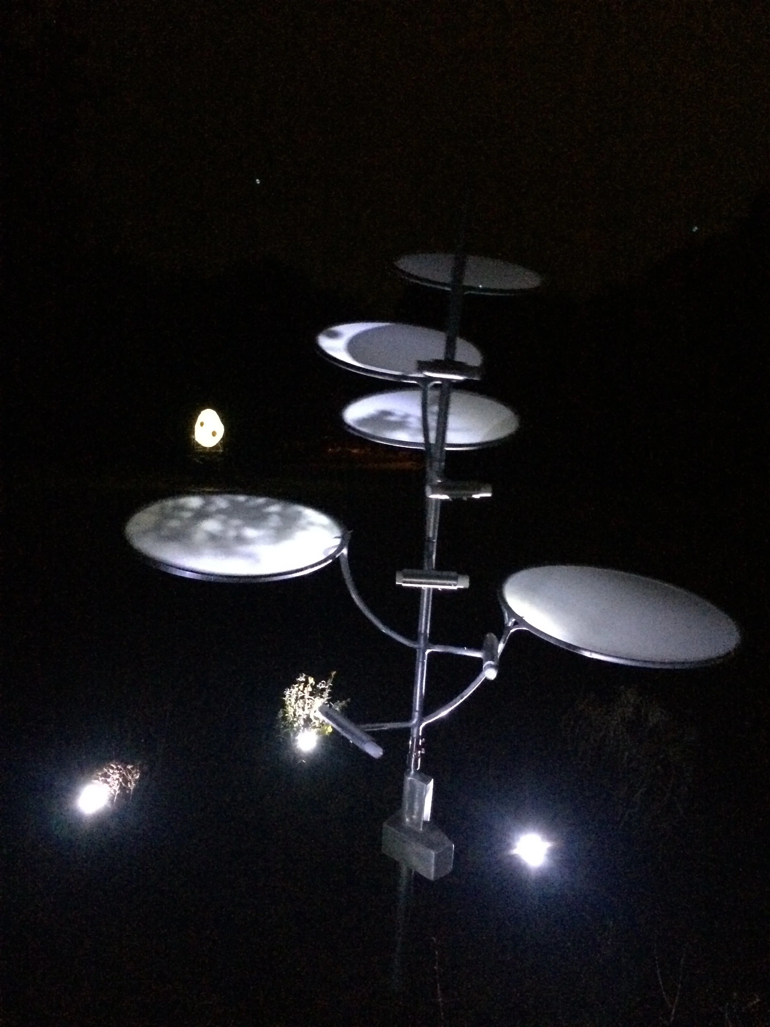 Lux aucupes_Bart Nijboer_dark 2.JPG