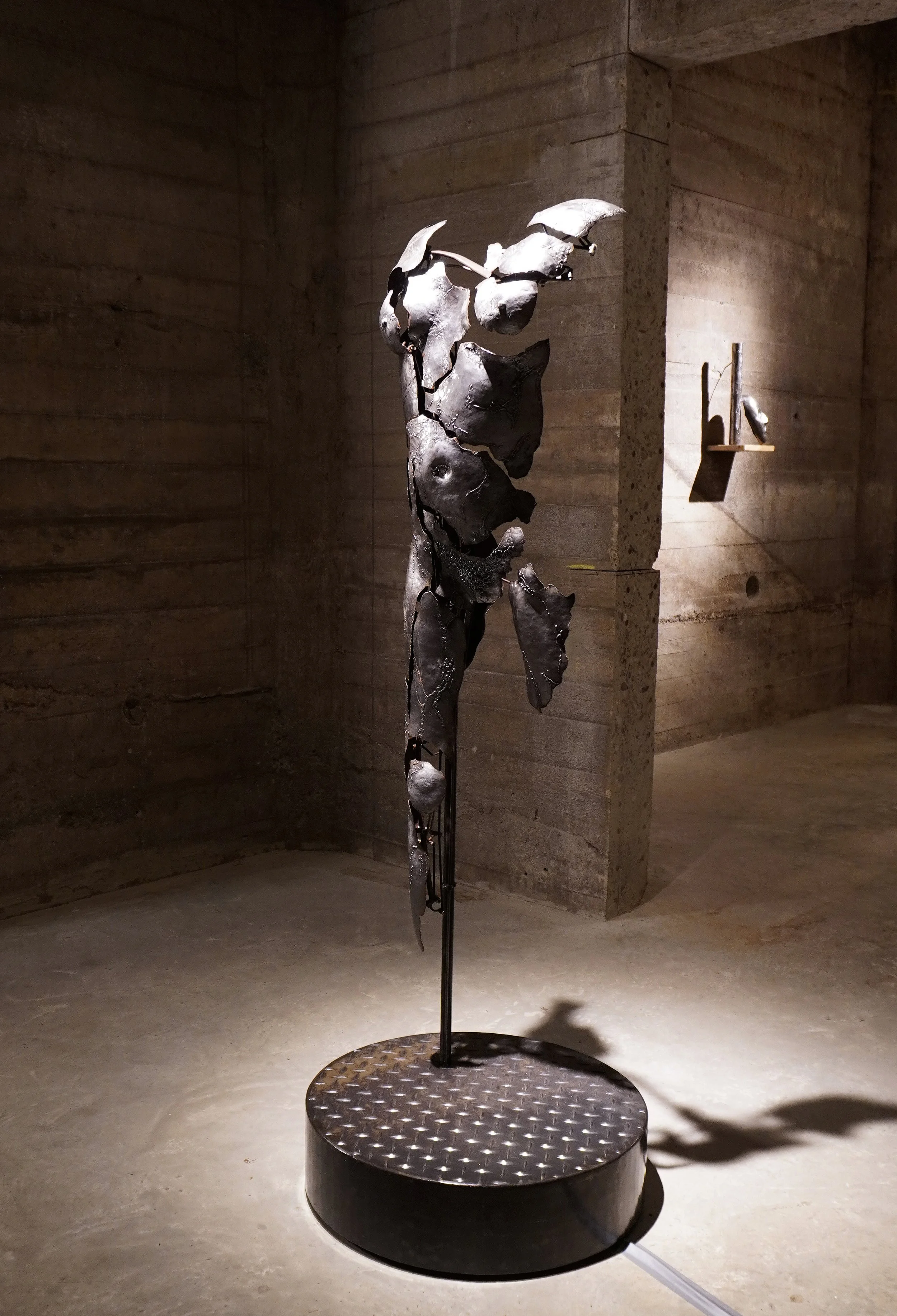 Naked Skin-de Compagnie 1.jpg