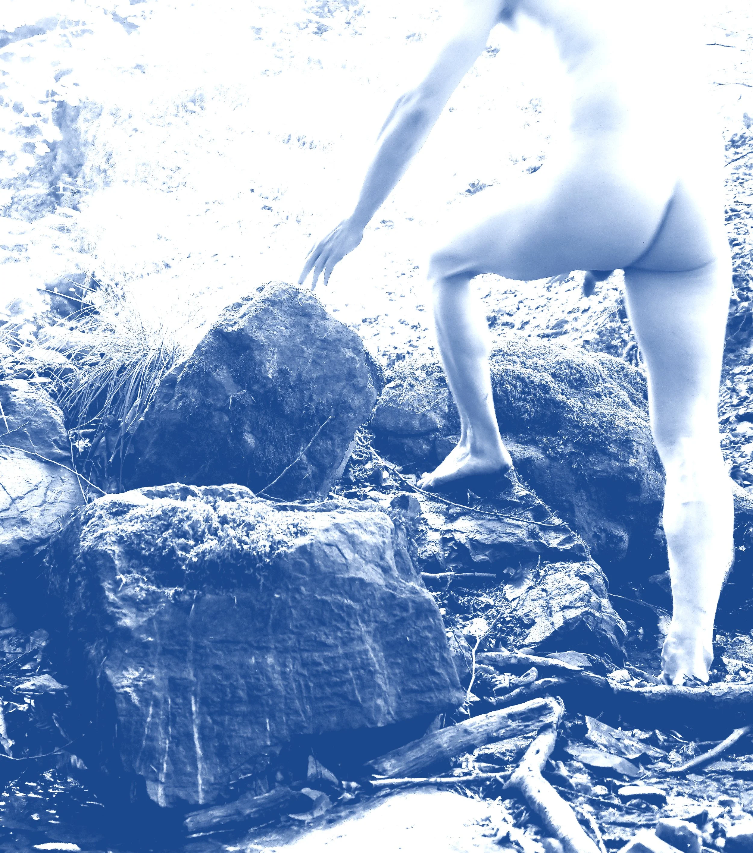 DSC08756 kopie 2.jpg