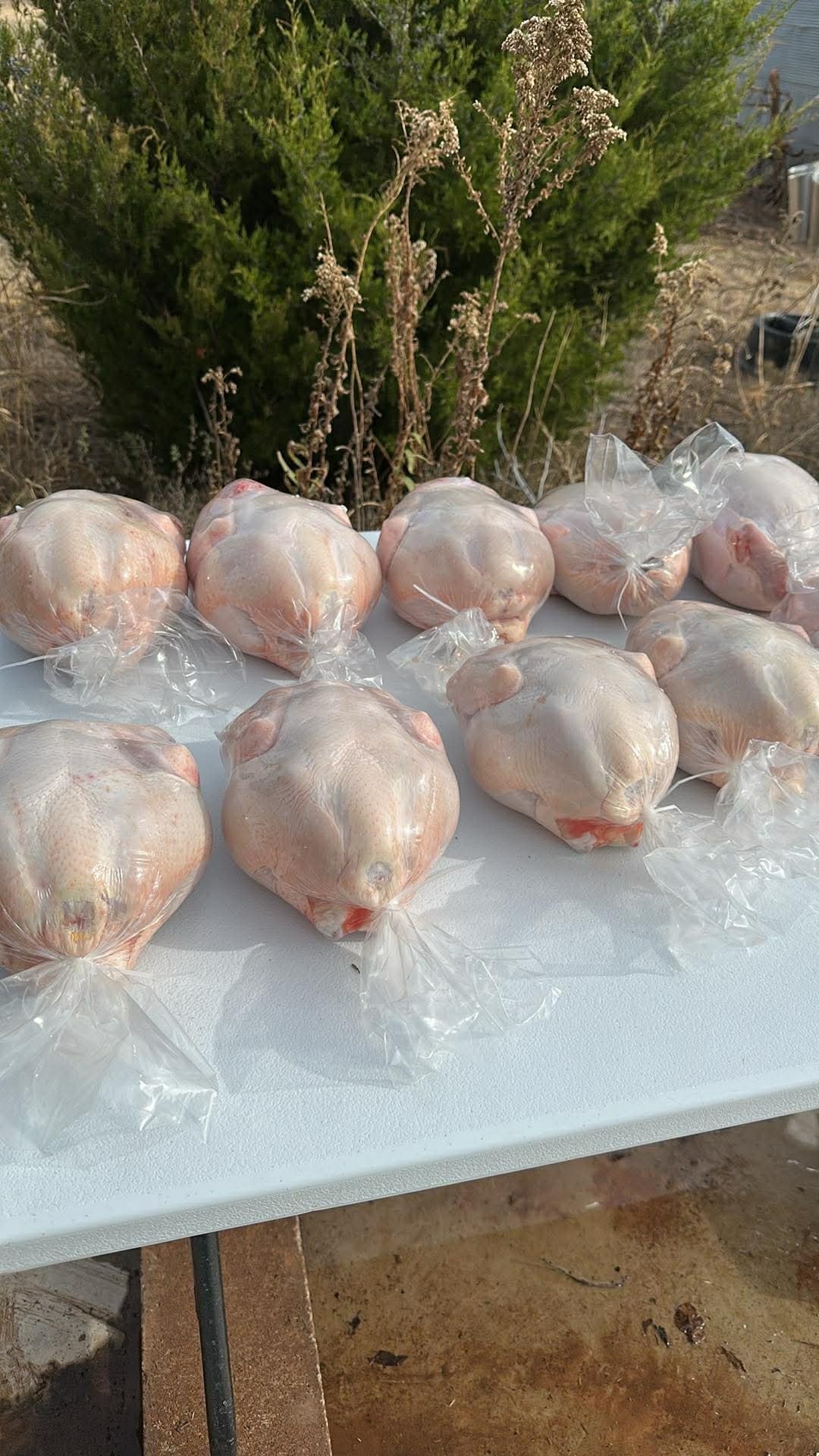 Whole Chicken (6.5 to 7.5 pounds)