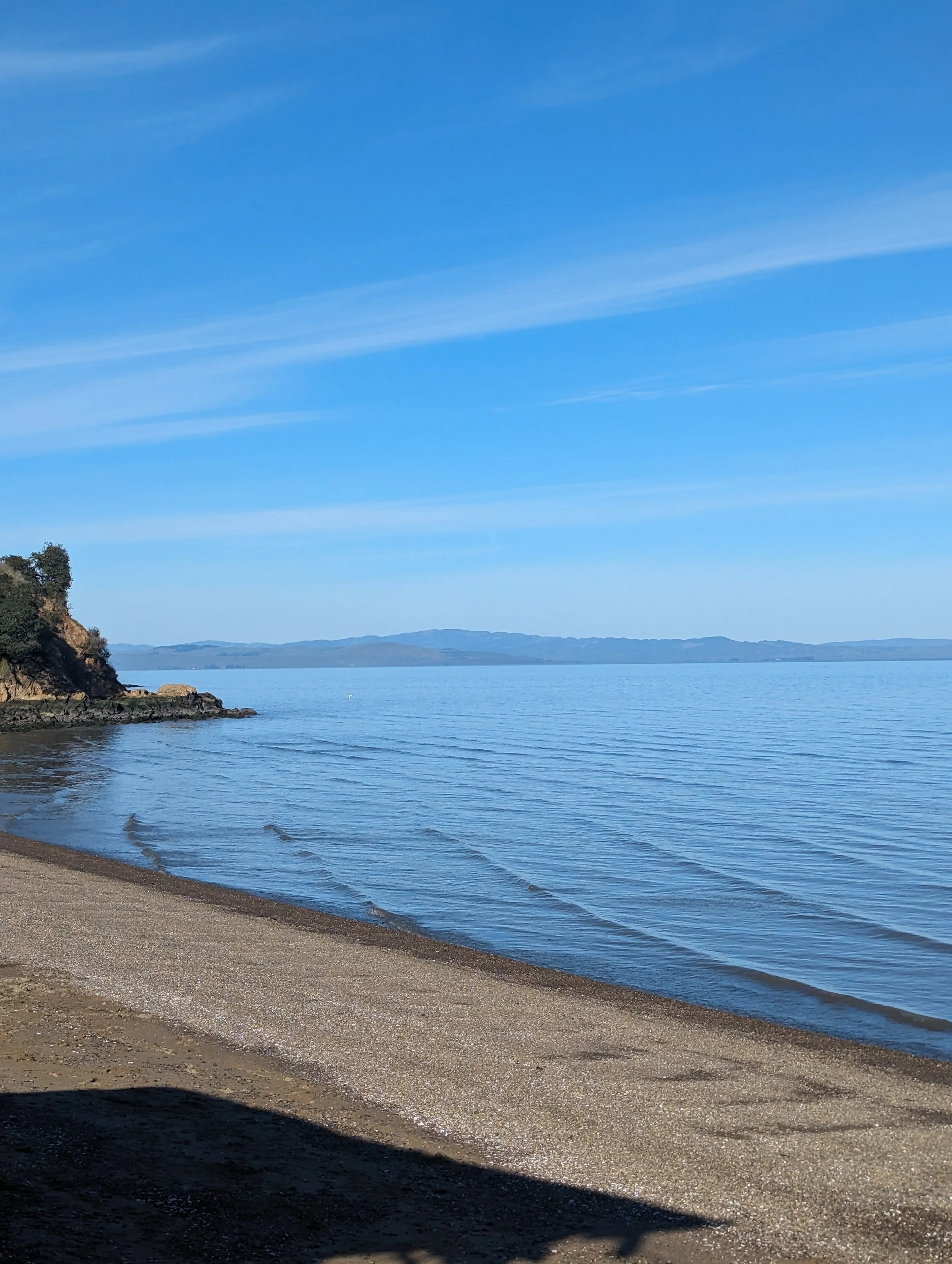 lapping waves because one course idea can make a big ripple