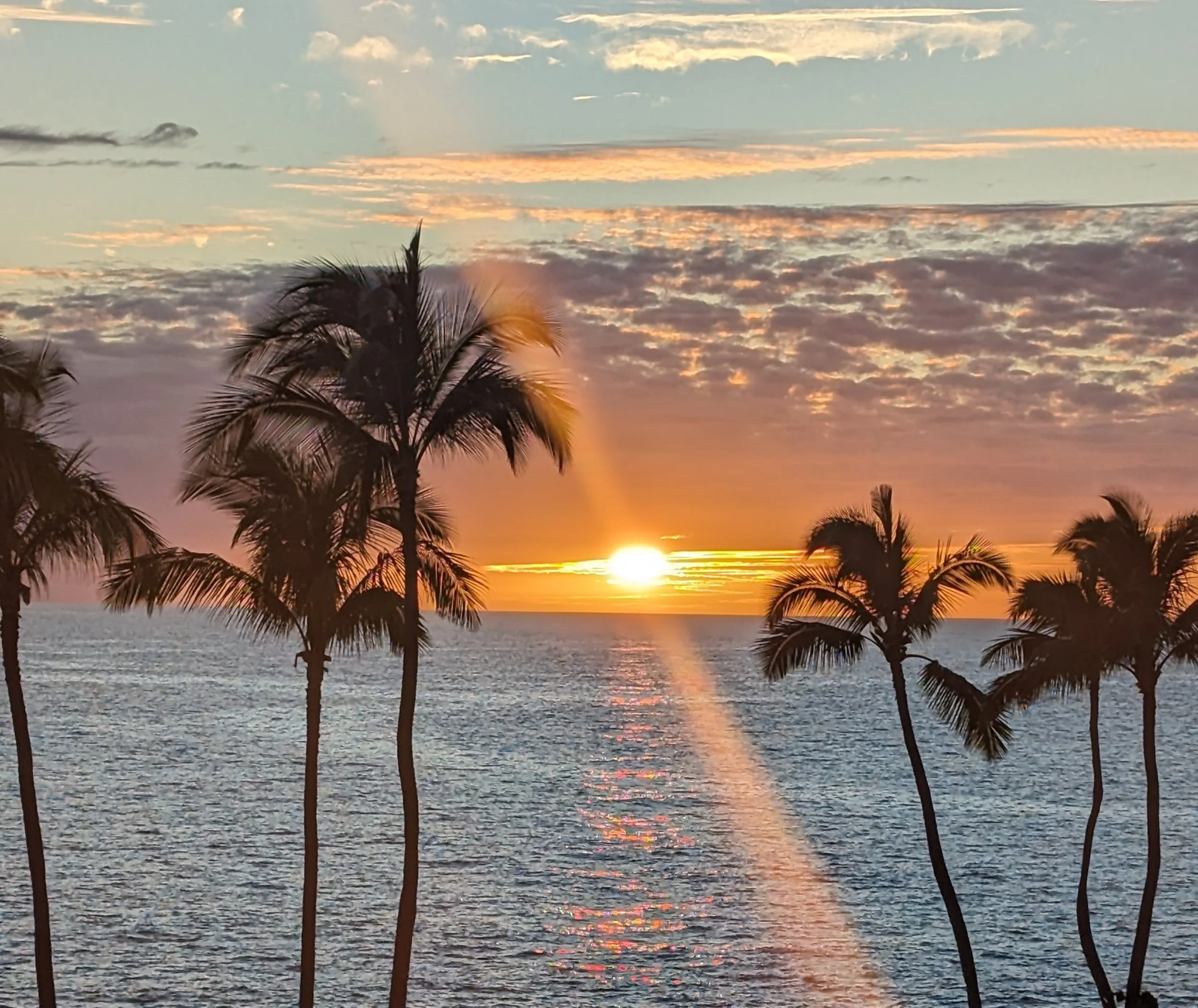 sunset over water with palm trees in foreground showing the sunsetting of single revenue streams