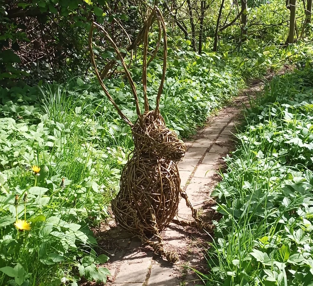 Weave a willow hare sculpture Friday 27th November 10-4