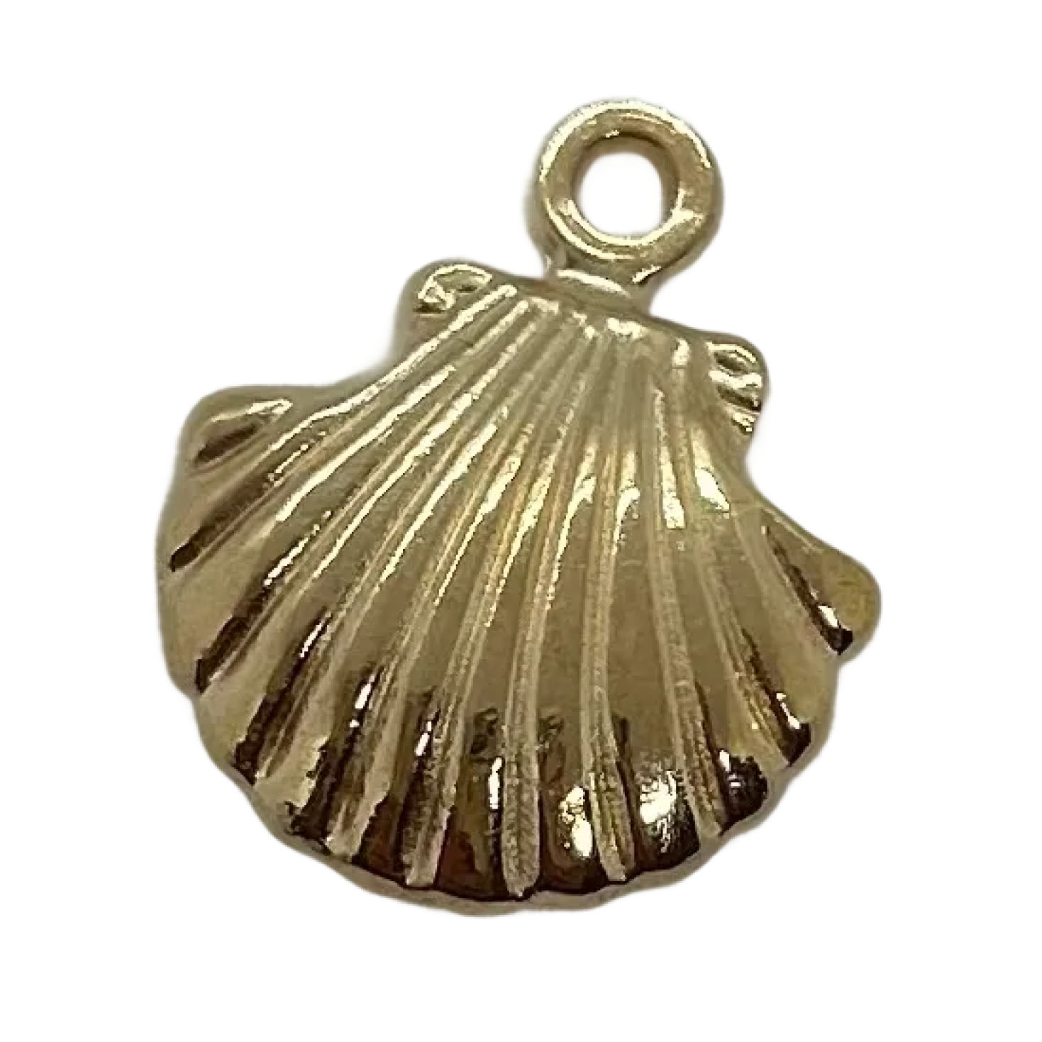 Gold Clam Shell