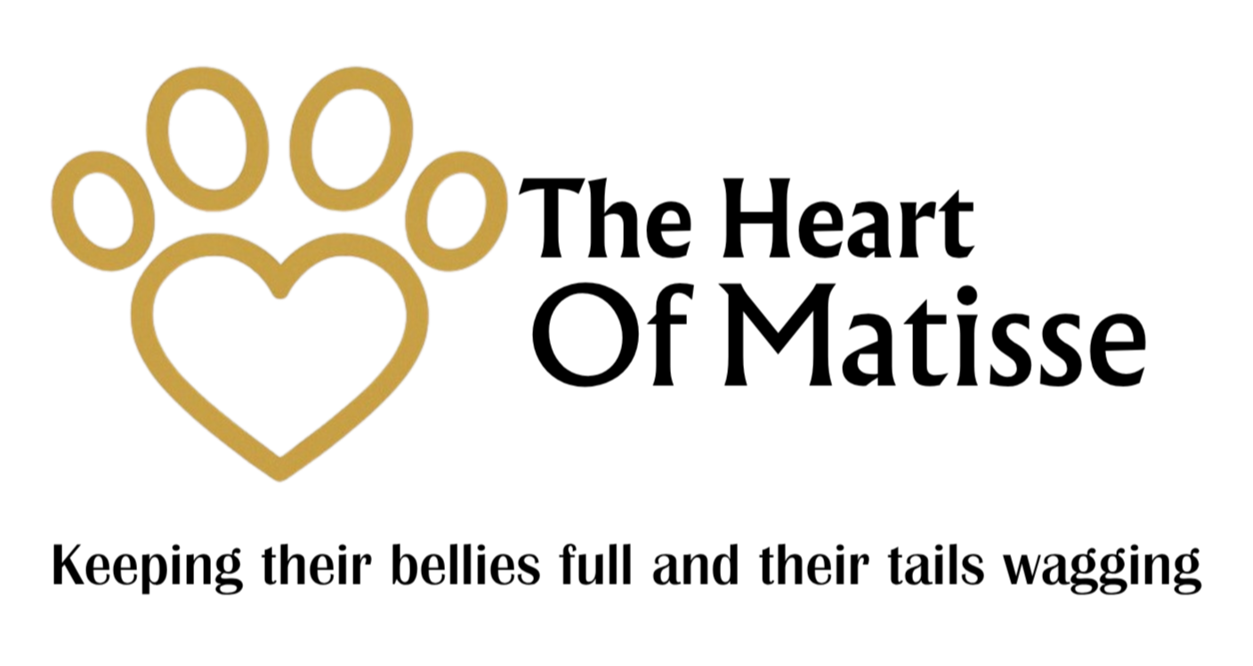The Heart of Matisse
