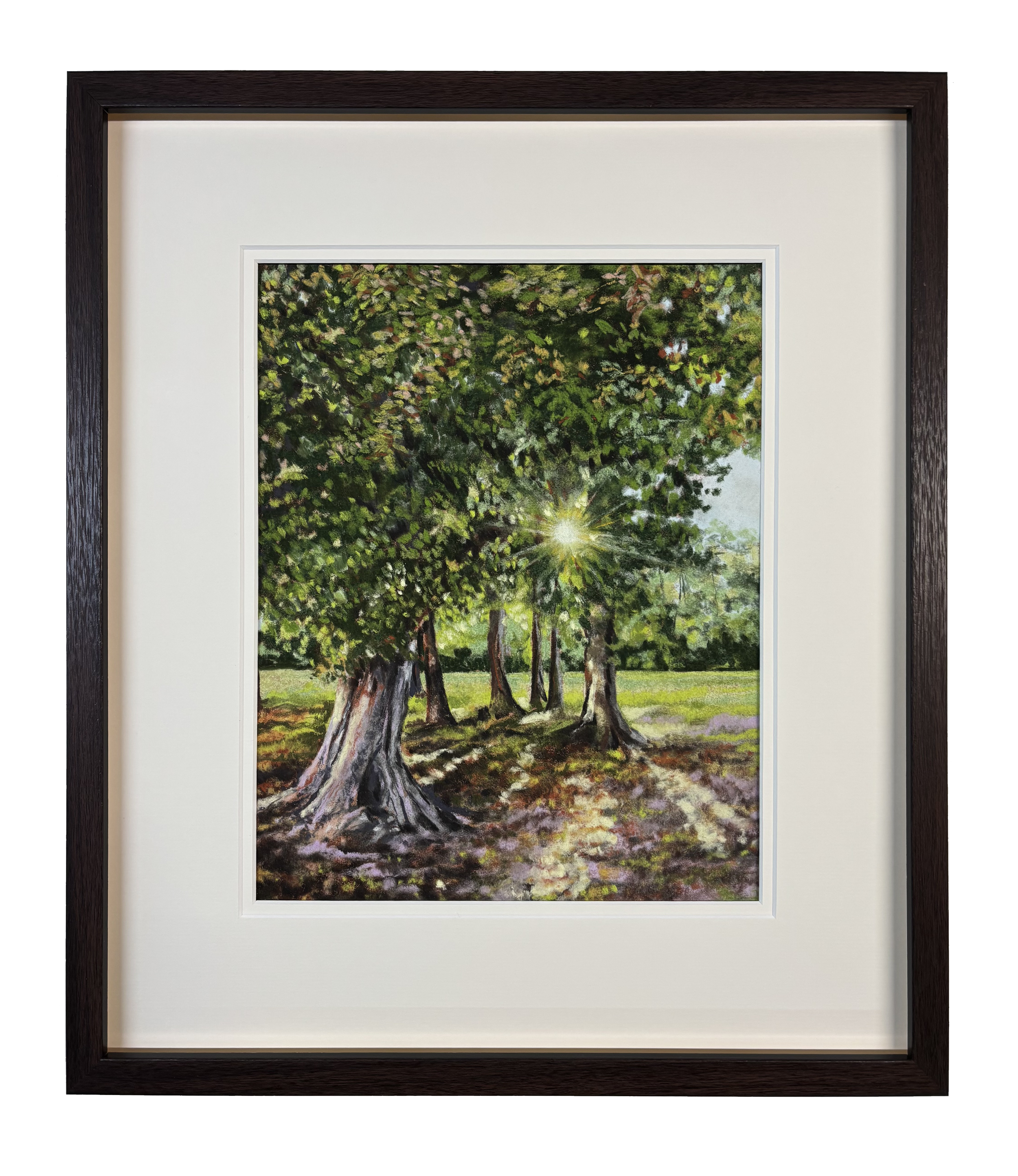 Hope — Light Through the Trees