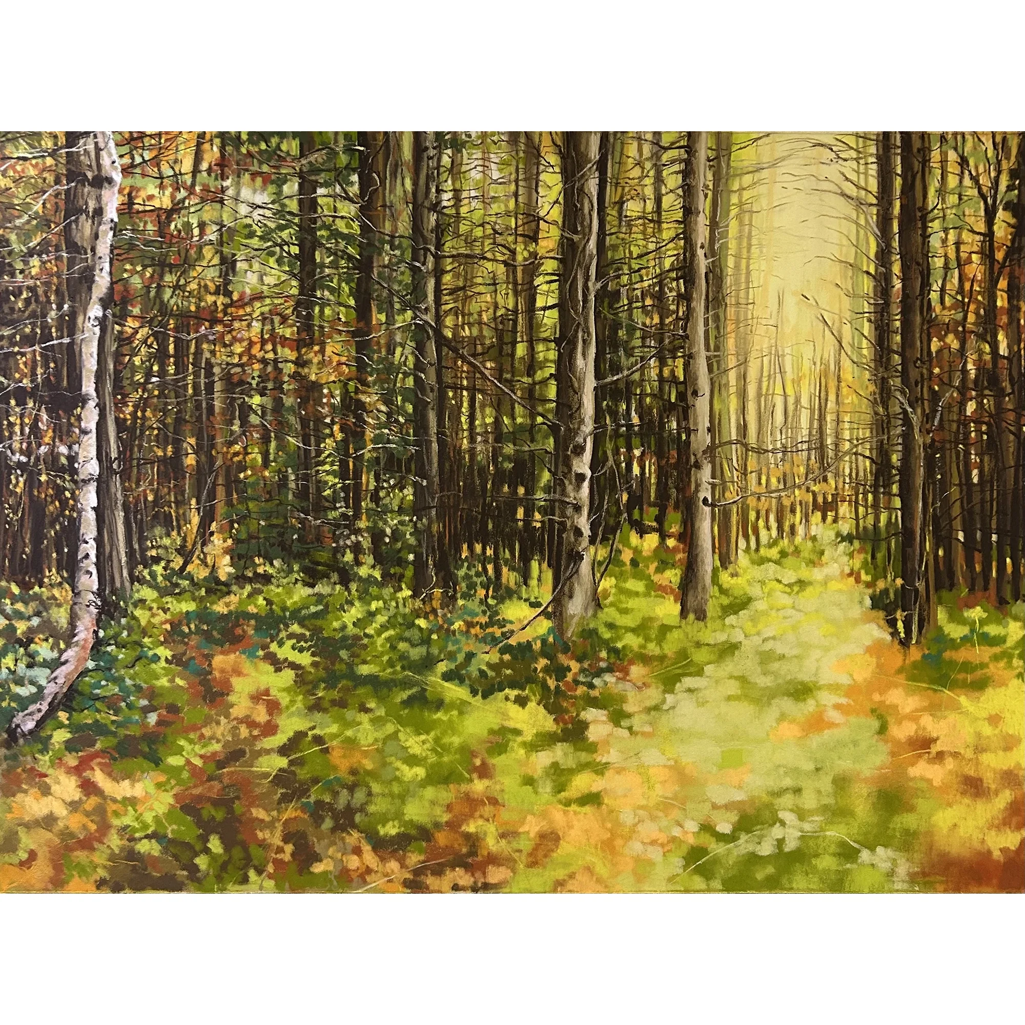 Autumn Woods-full-square.webp