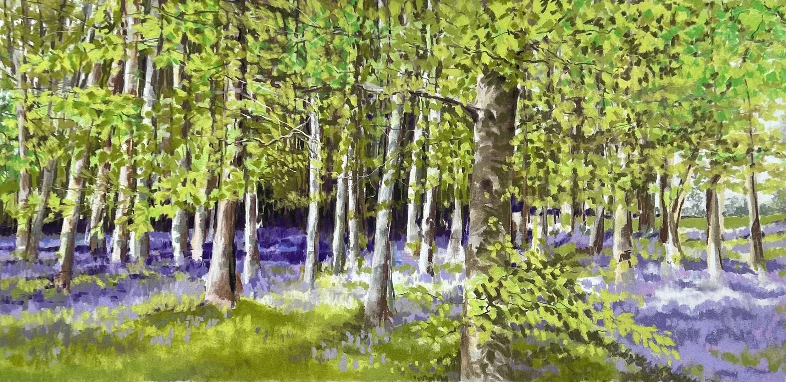 Bluebell-woods-full.webp