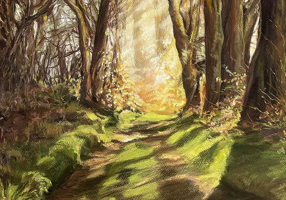 Woodland Pathway