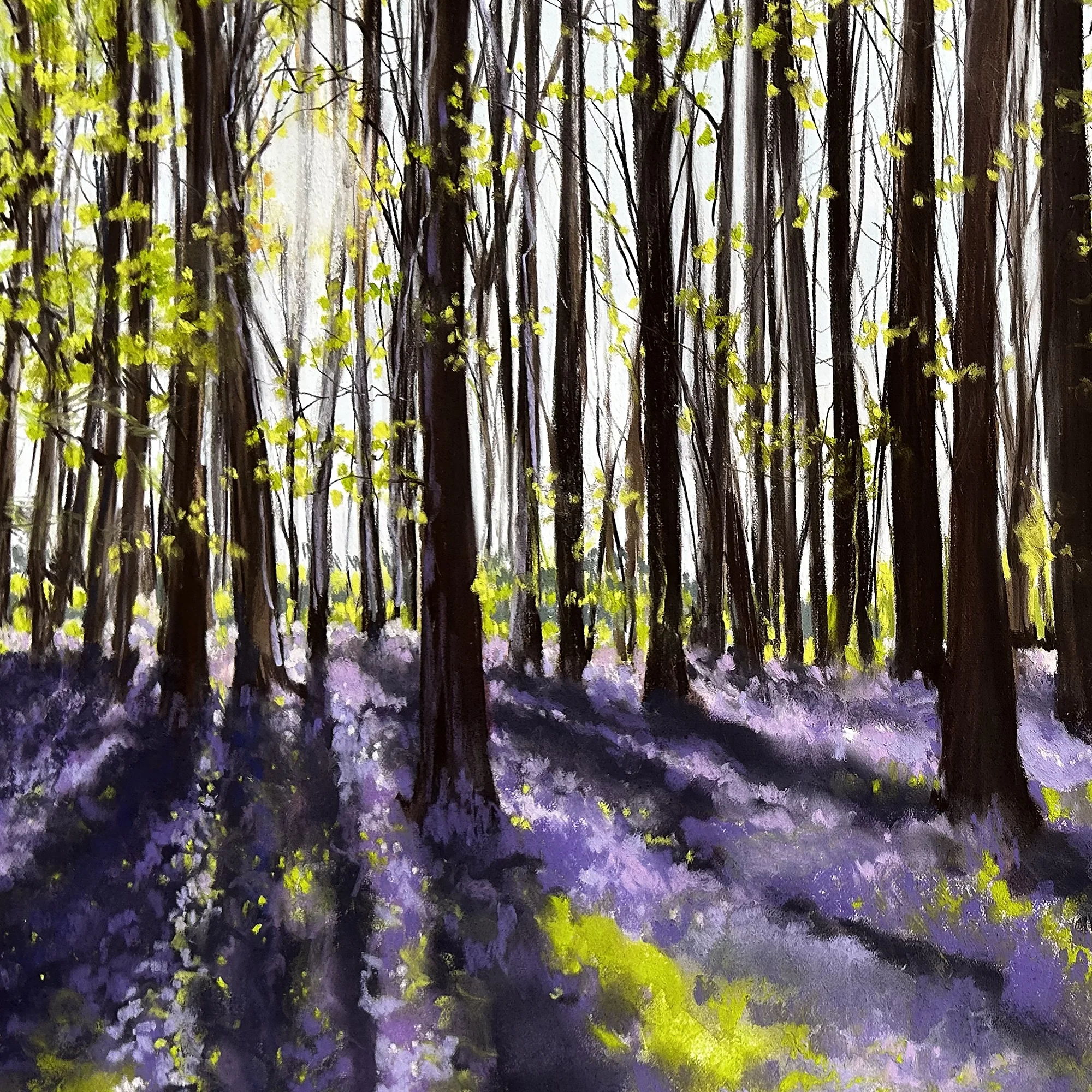 bluebells-early-light-detail-2000x2000.webp